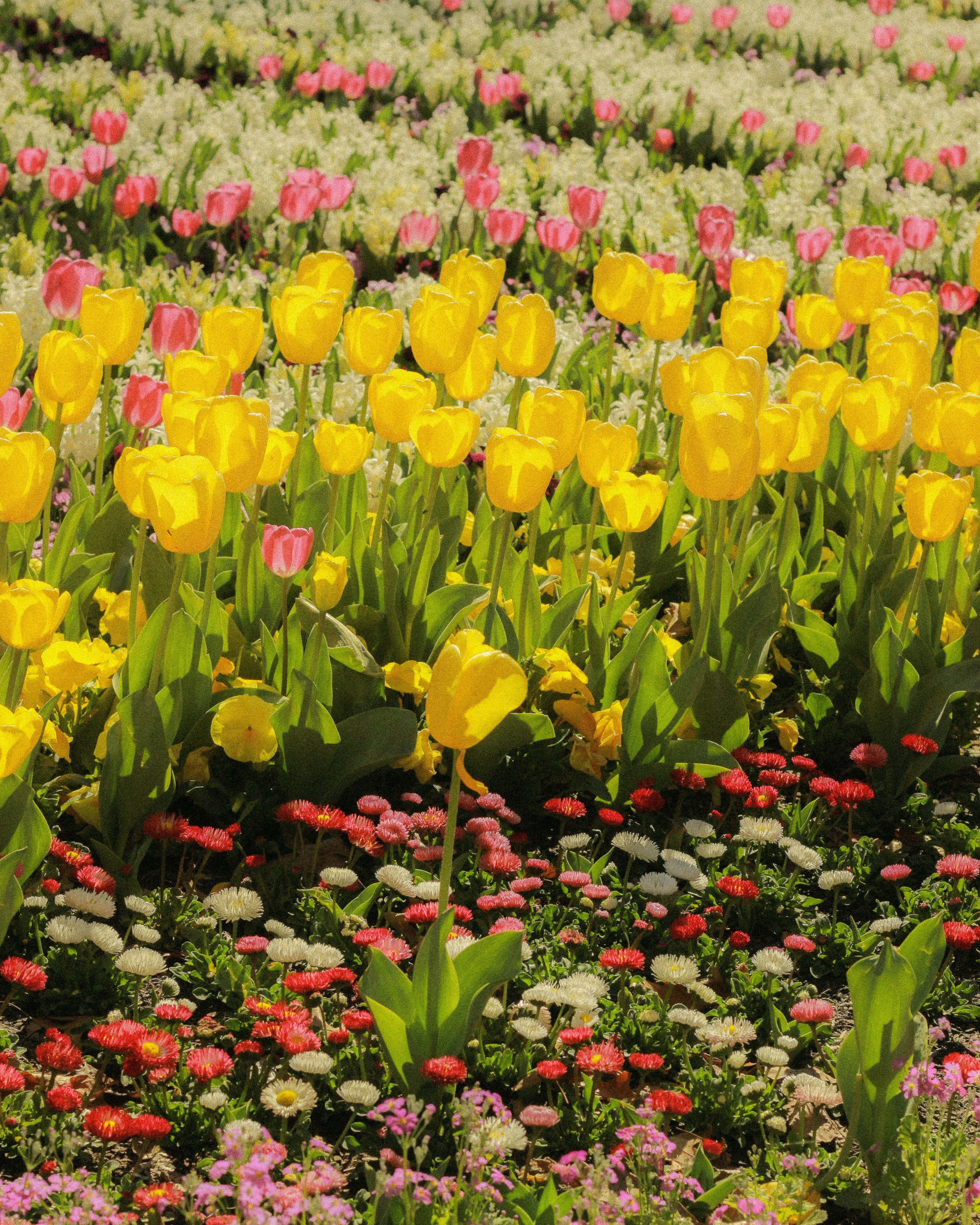 Photo by angie_baongoc