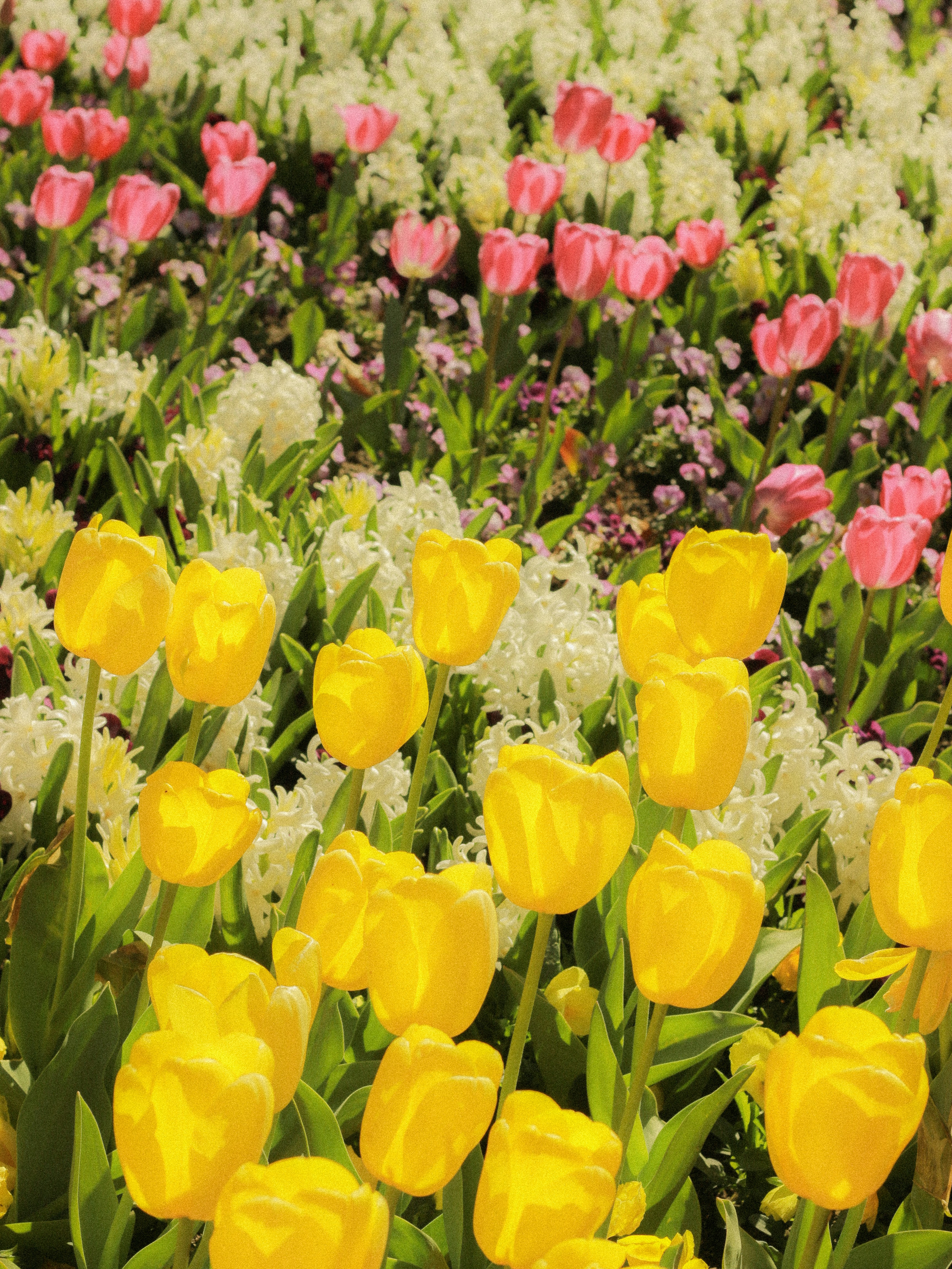 Photo by angie_baongoc