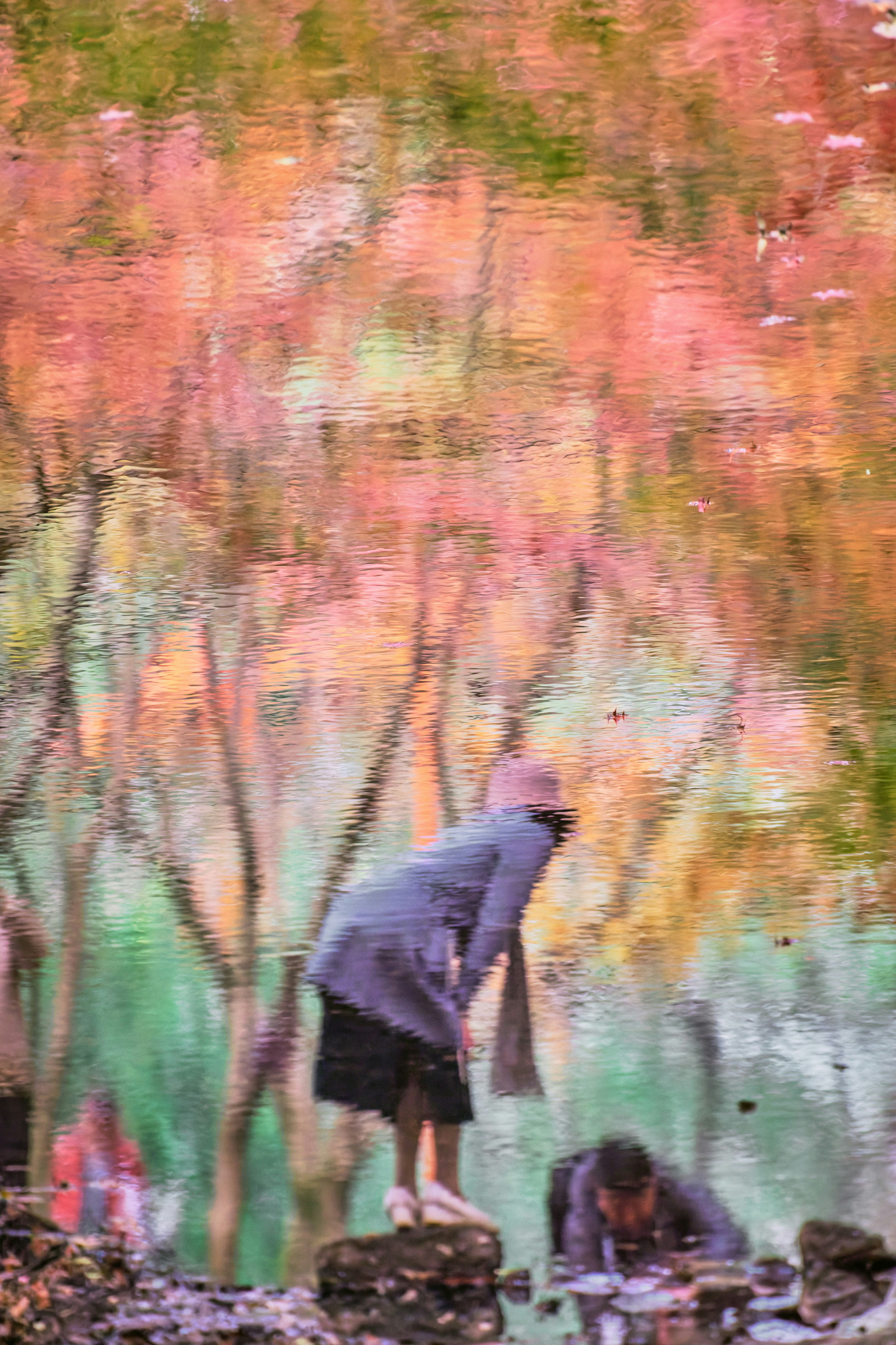 People reflected in water with autumn trees