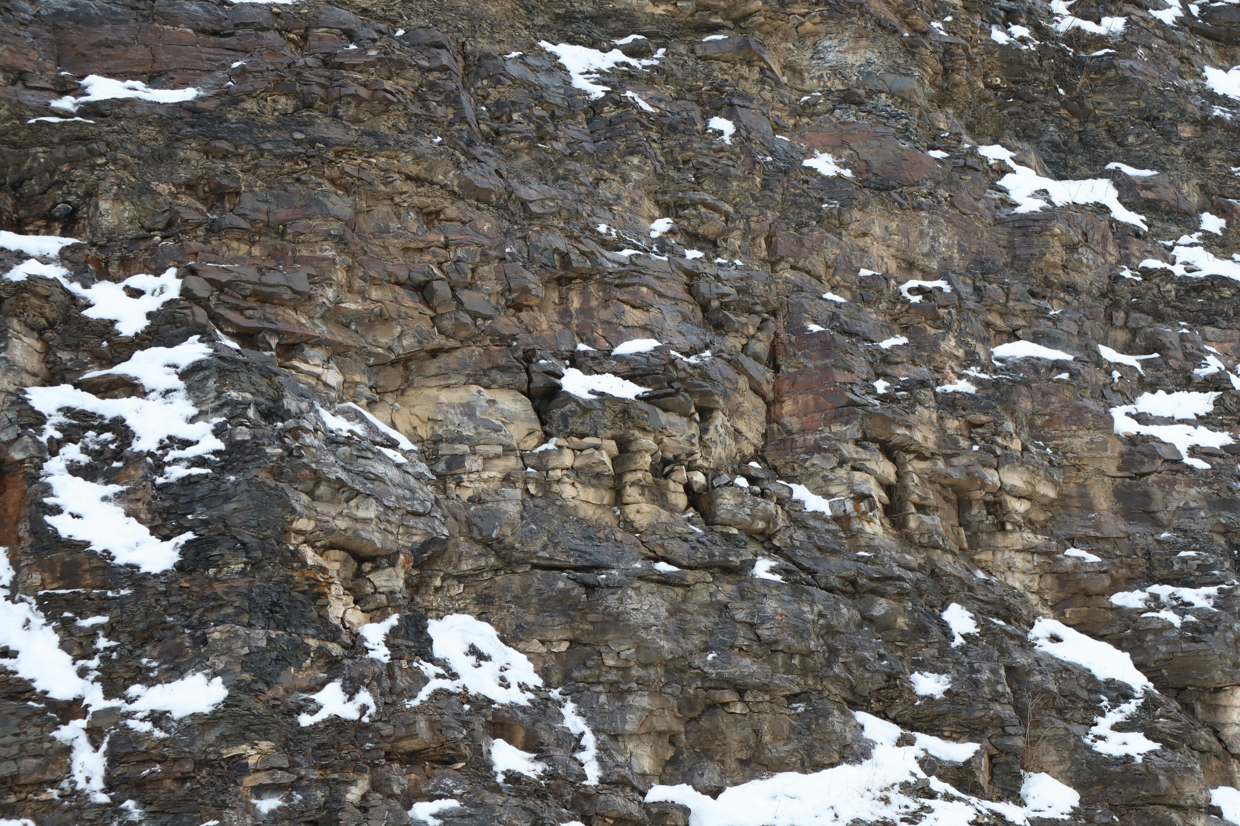 Photo by benignmechanism