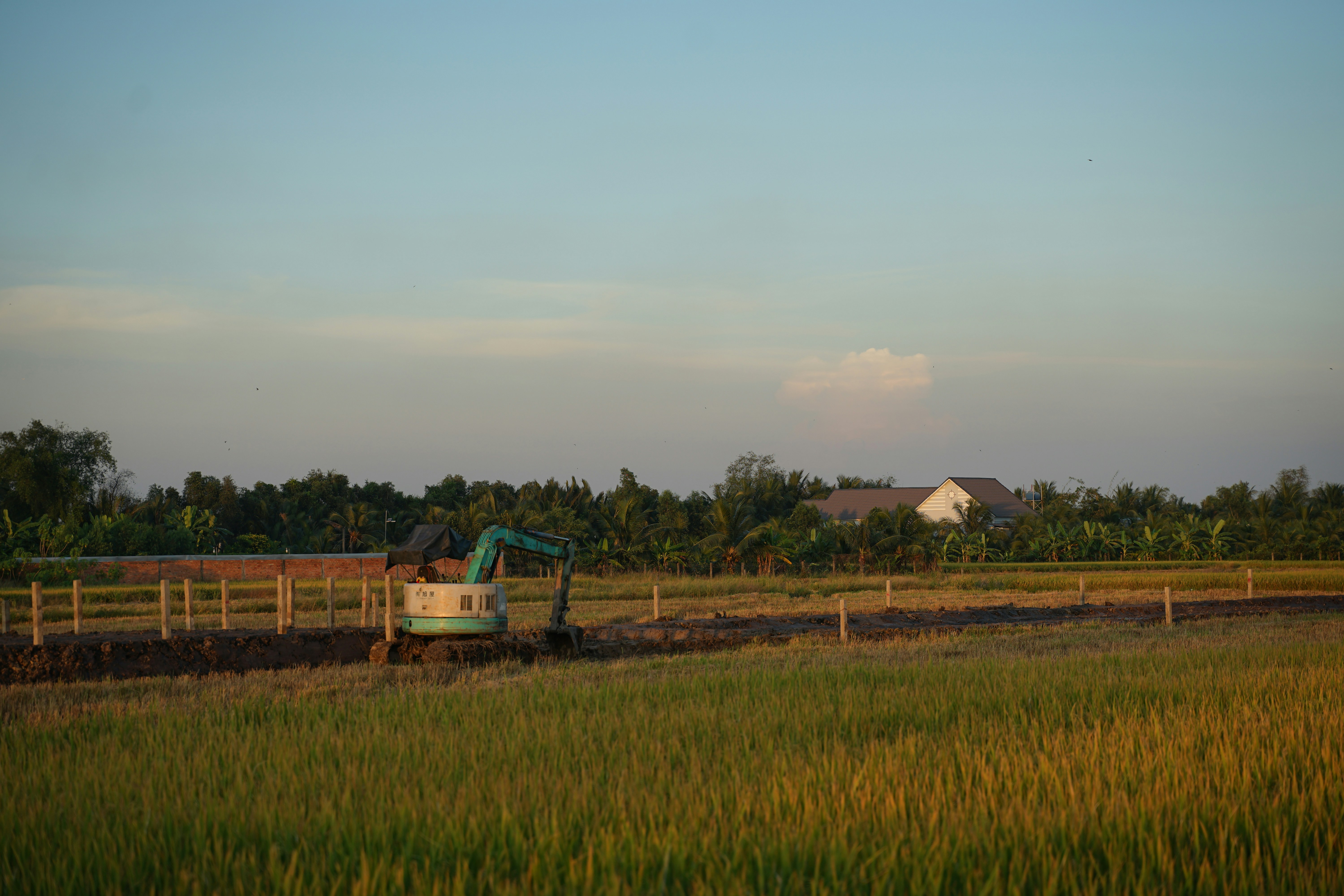 Excavator working in a rural field at sunset.