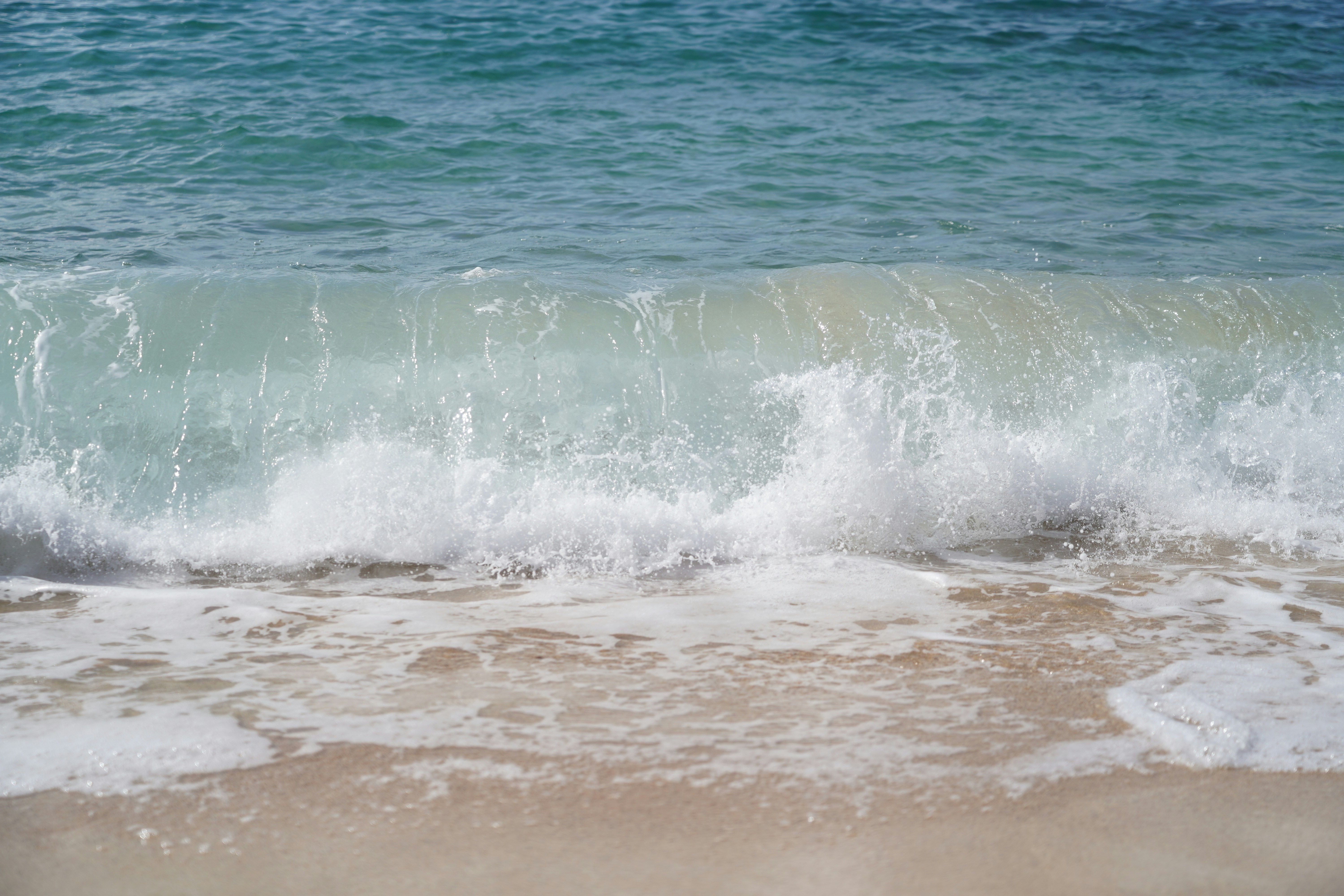 Photo by jillguineapiggy