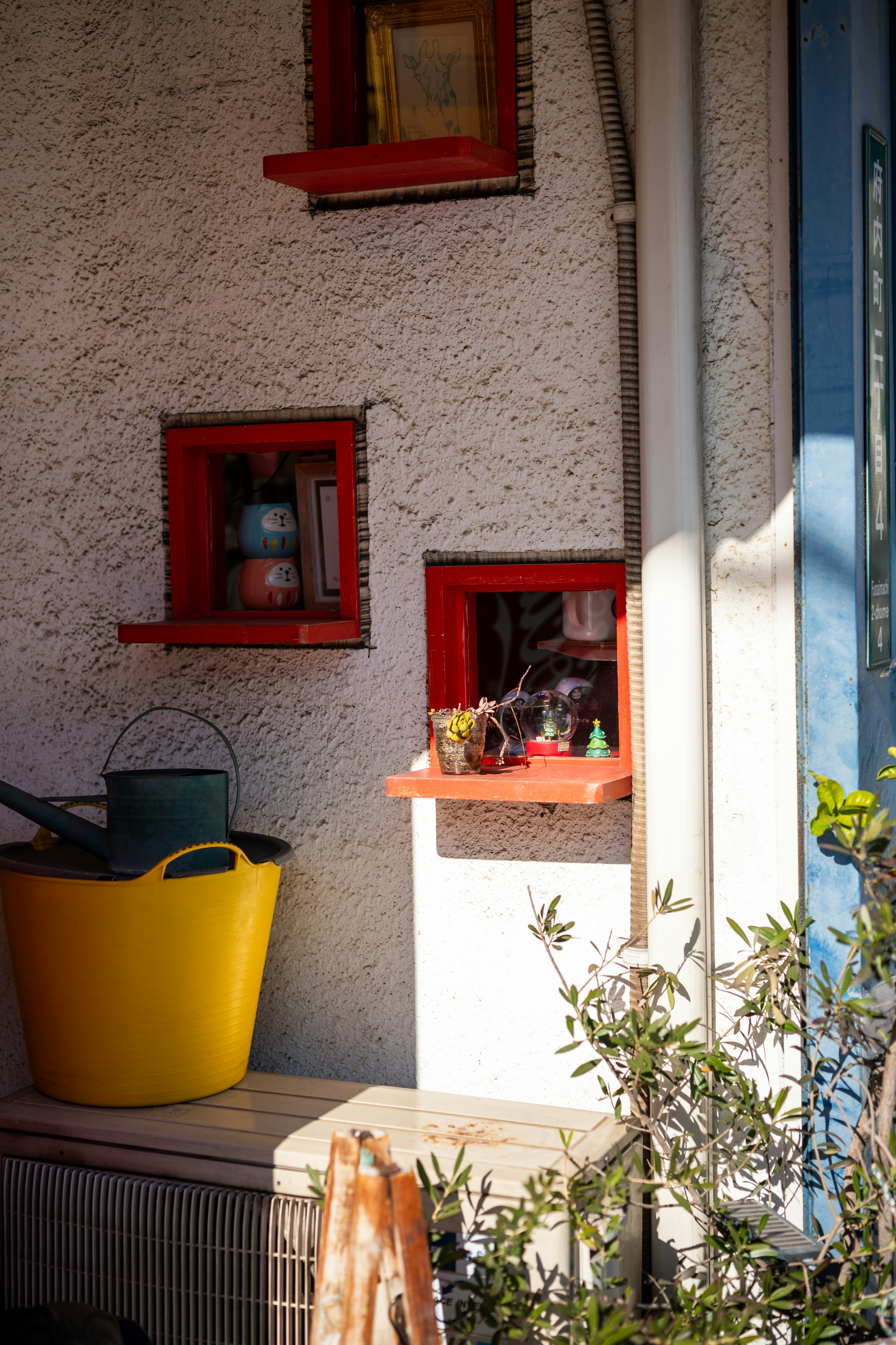 Yellow bucket and plants on a textured wall.