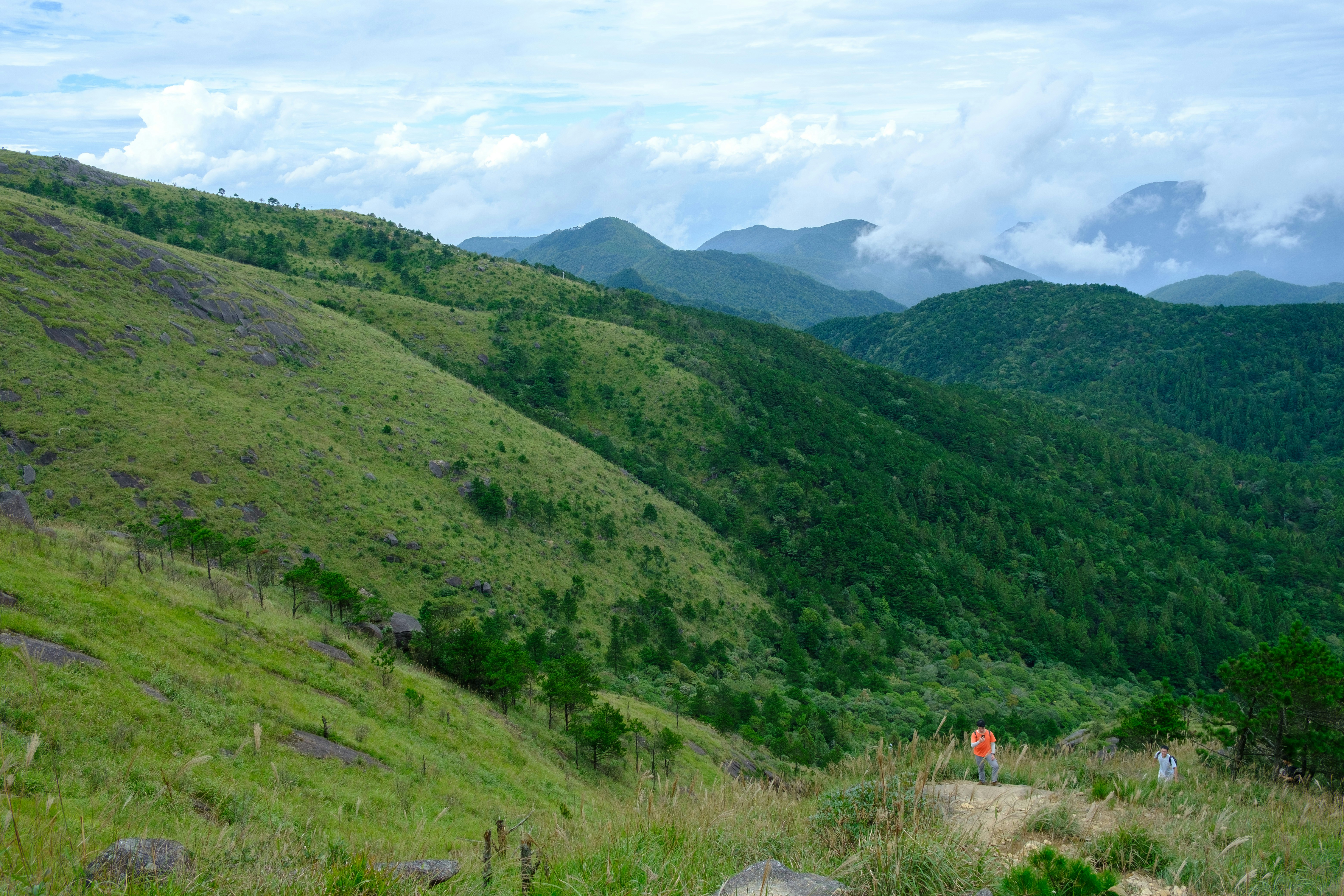 Grassy hillsides with misty mountains in the background