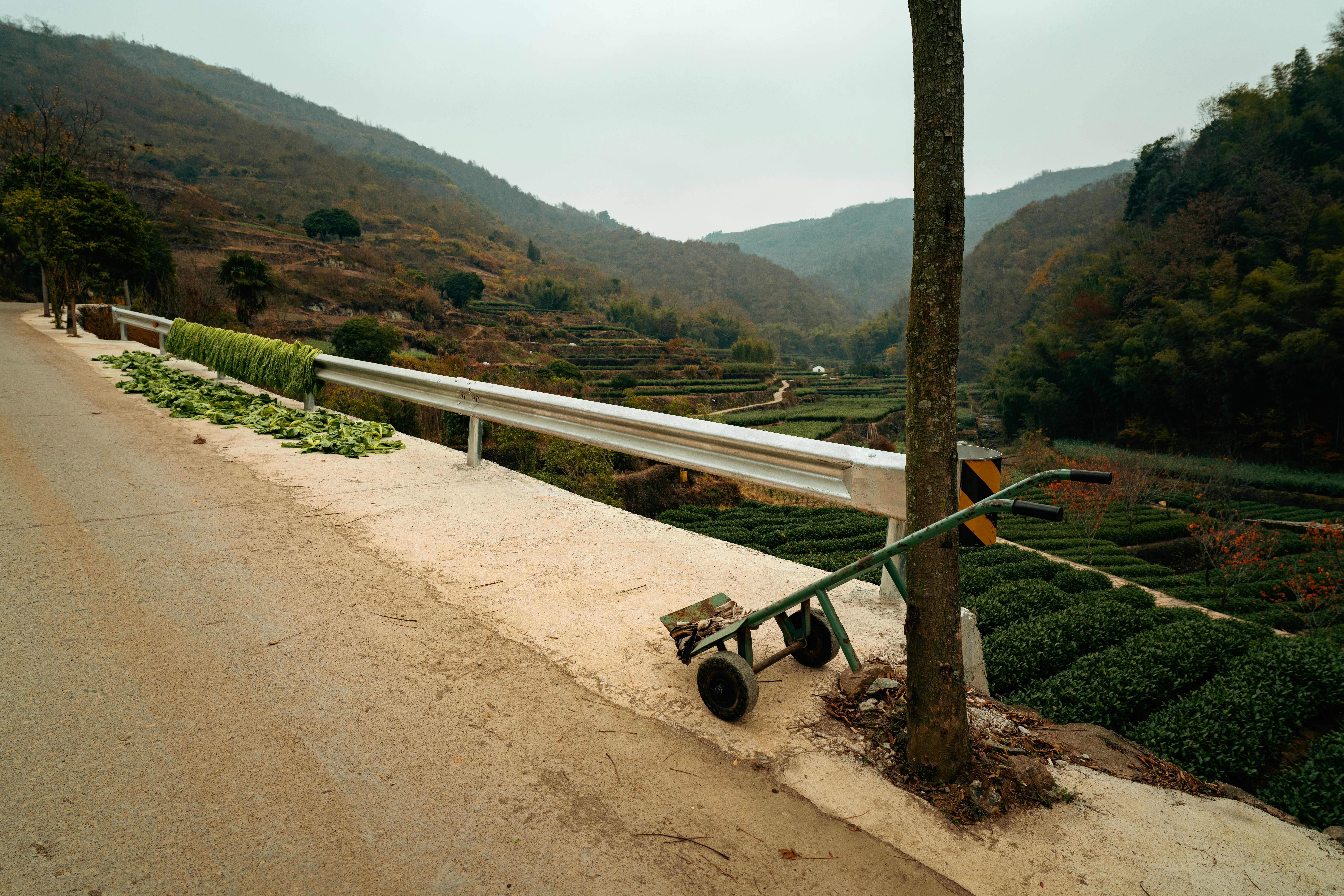 Roadside trolley next to tea plantation on hillside