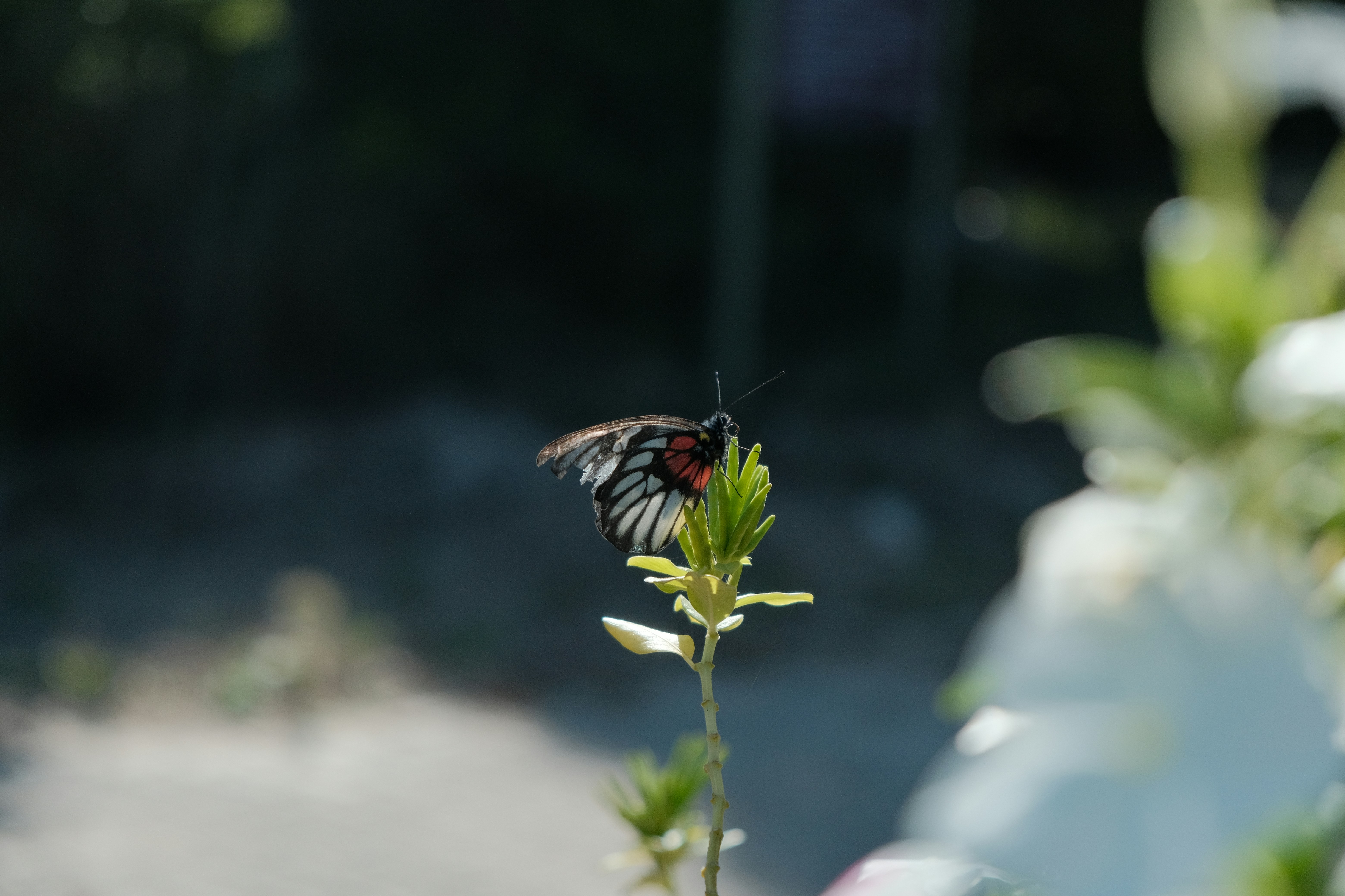 Photo by film002