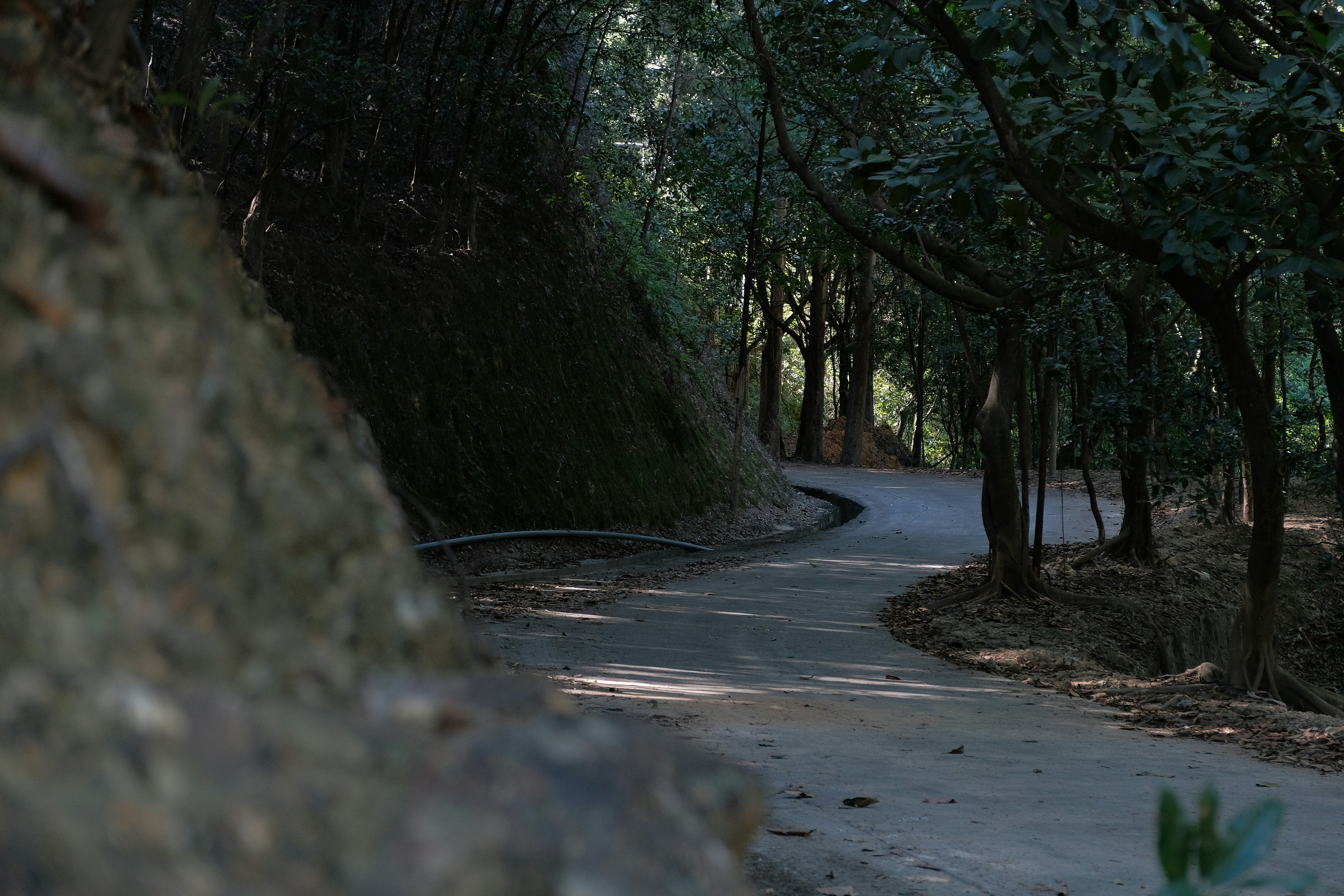 Mazda MX-5 scenic road, ilustrasi artikel The Ultimate Mazda MX-5 Miata Wallpaper Collection: Capturing Roadster Life 8