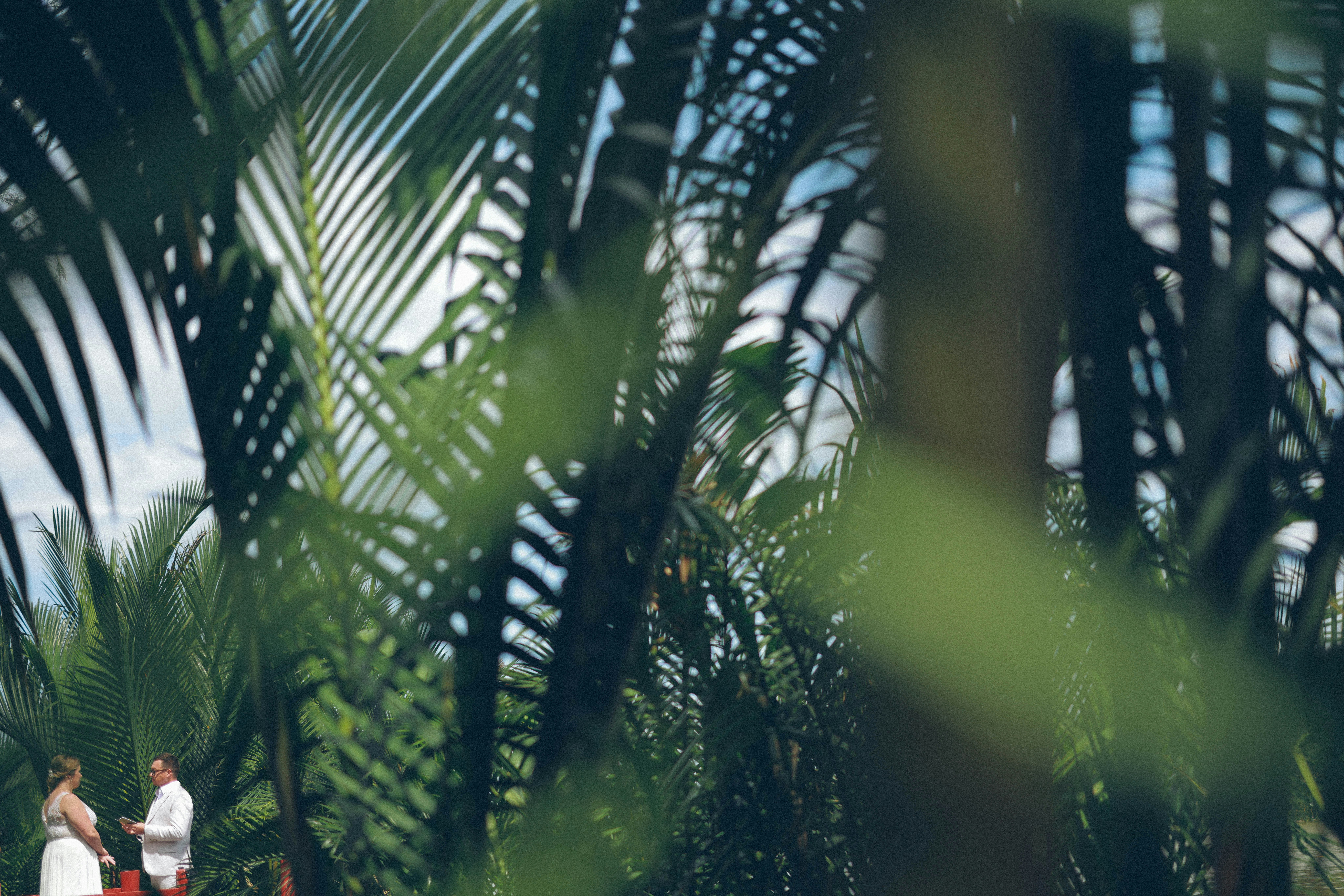 Photo by hoianphotographer