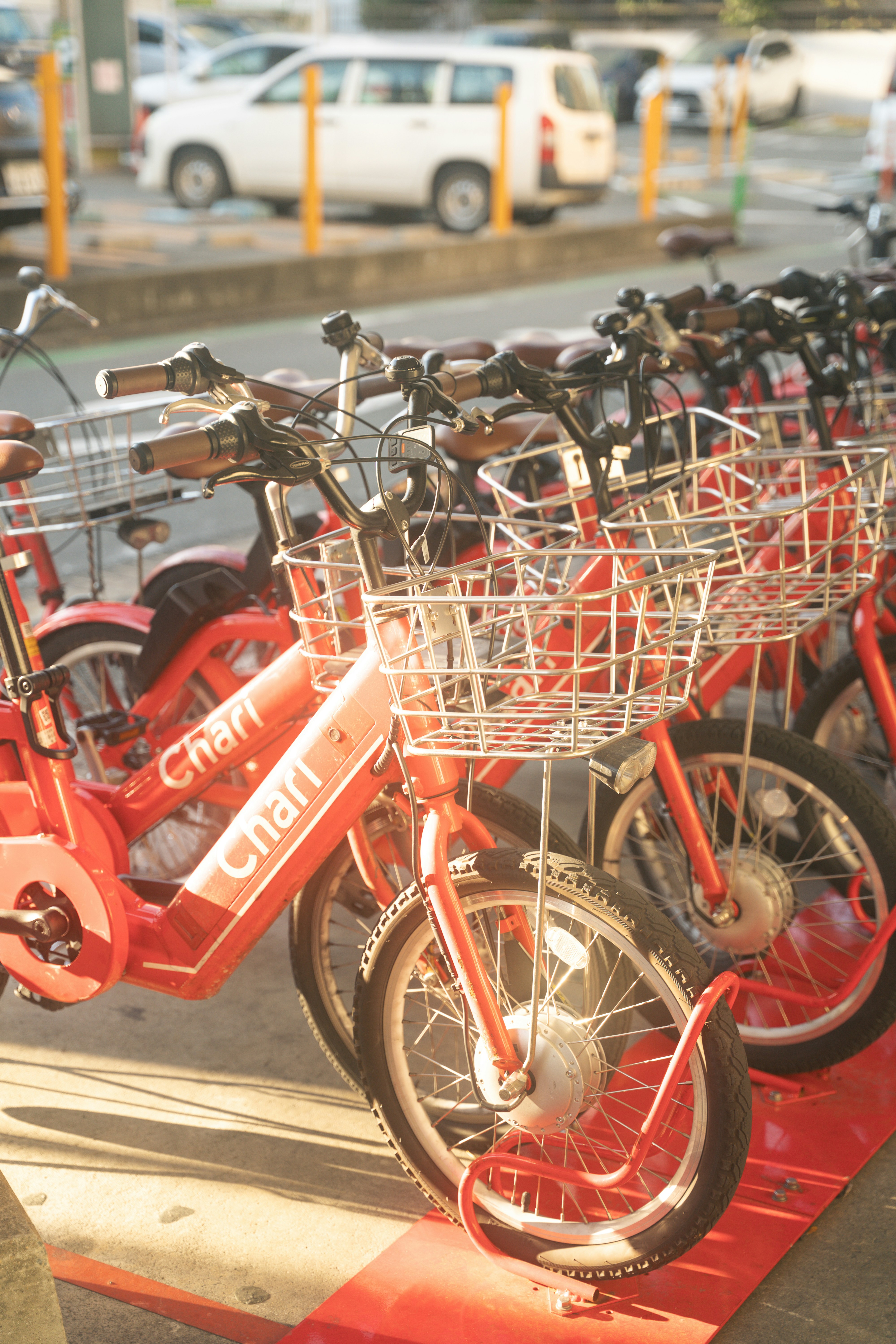 Fileira de bicicletas vermelhas alugadas com cestas.