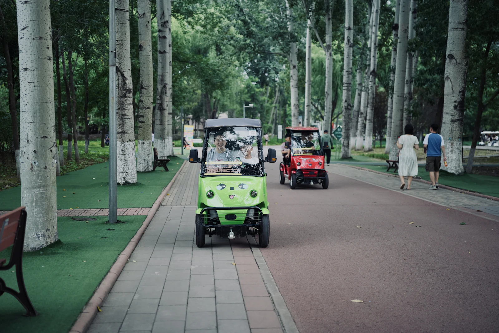 Golf carts on a paved path through the trees.