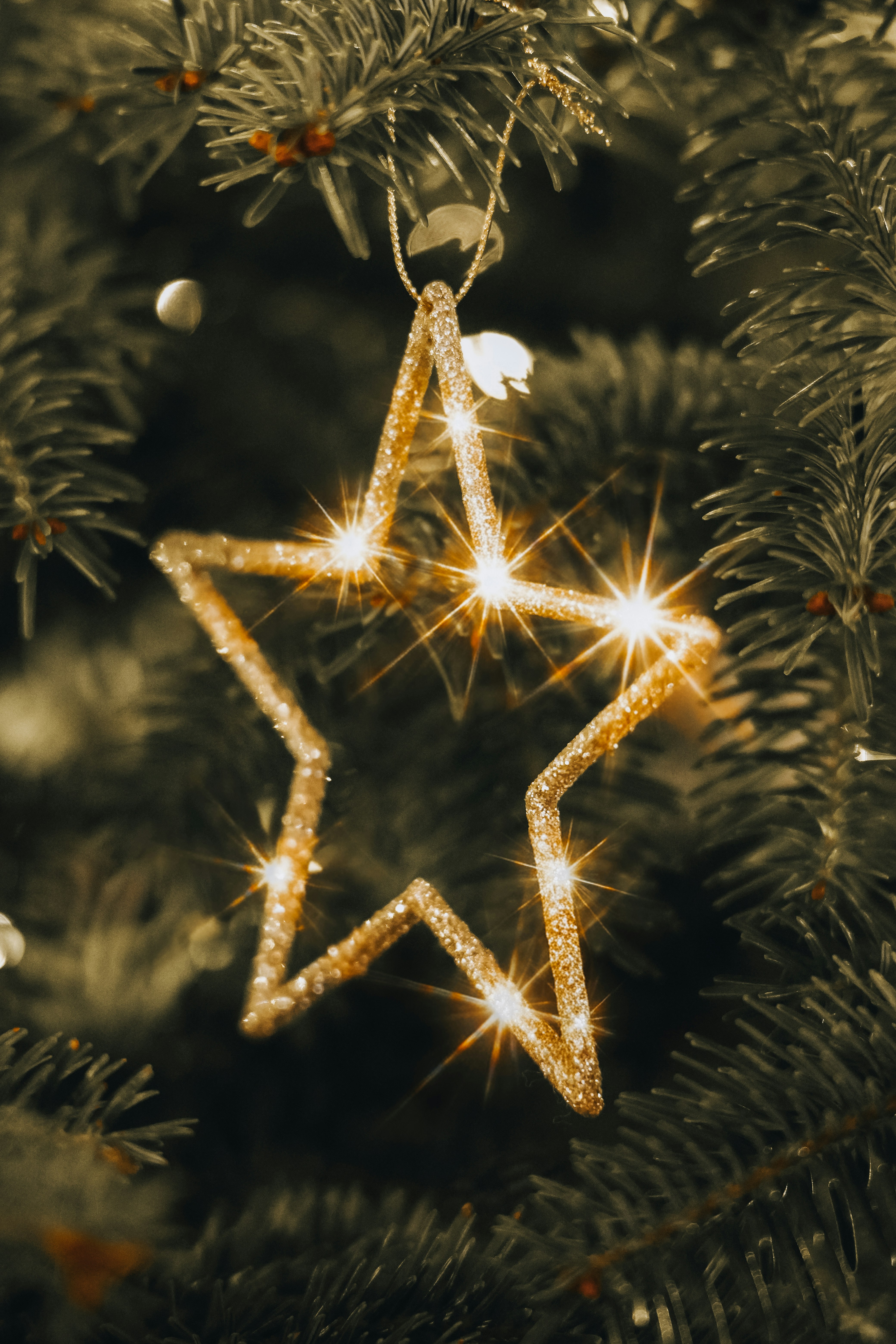 A sparkly golden star ornament on a christmas tree.