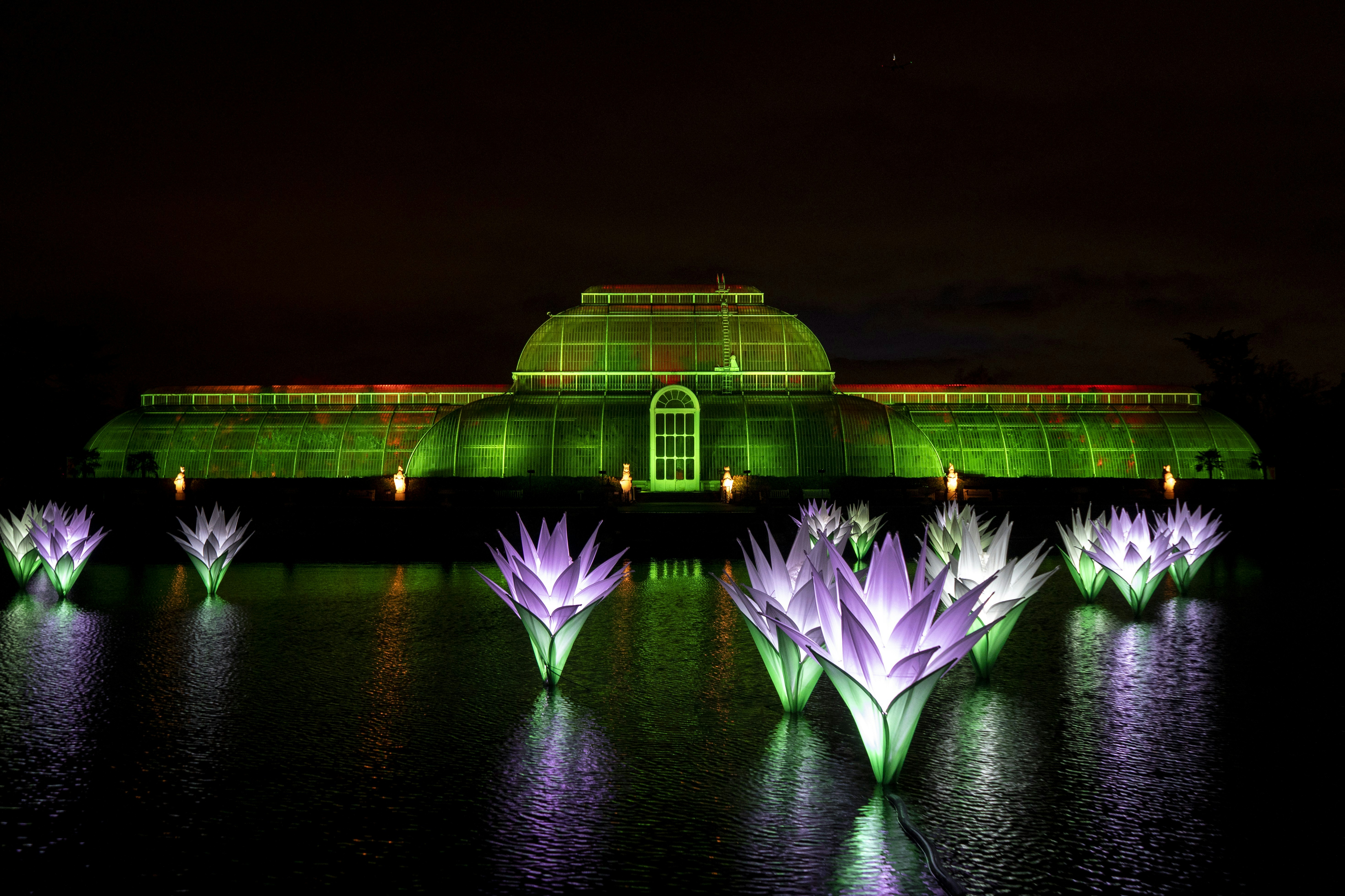 جشن هالووین در Kew Gardens با مسیر نورانی ۱.۵ کیلومتری از اکتبر ۲۰۲۶