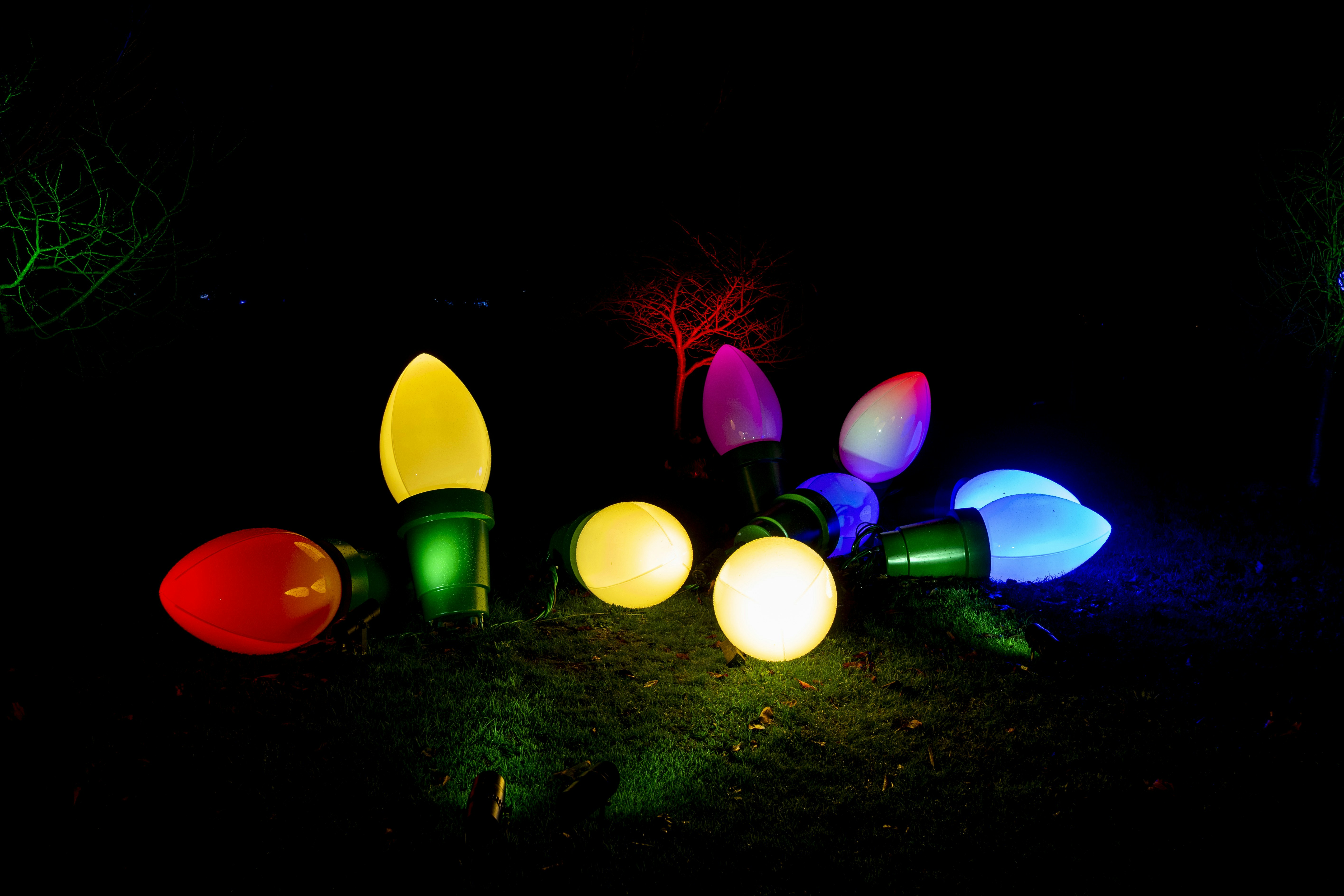 An art installation of oversized christmas lights