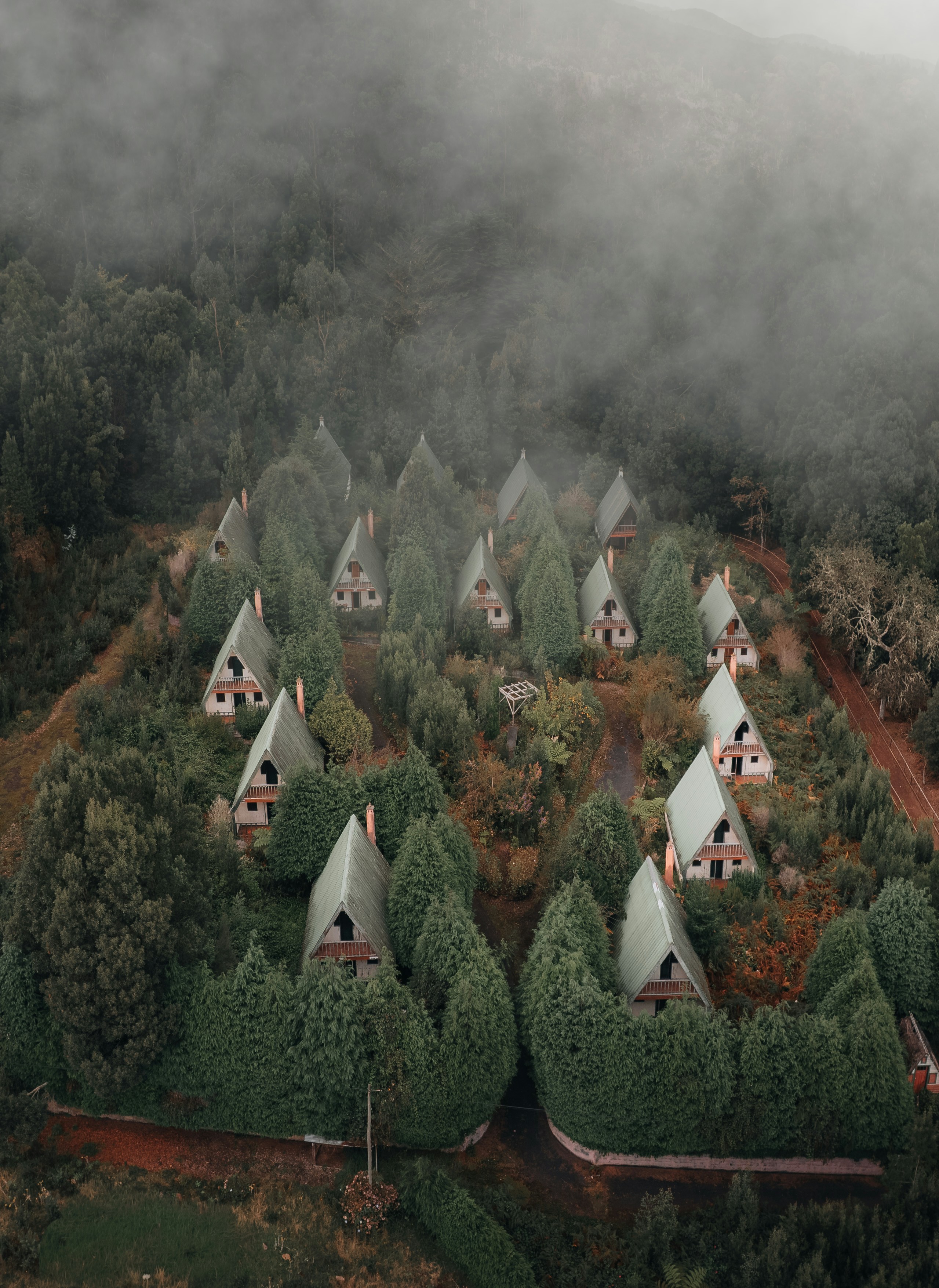 Conical houses nestled in a misty forest landscape.