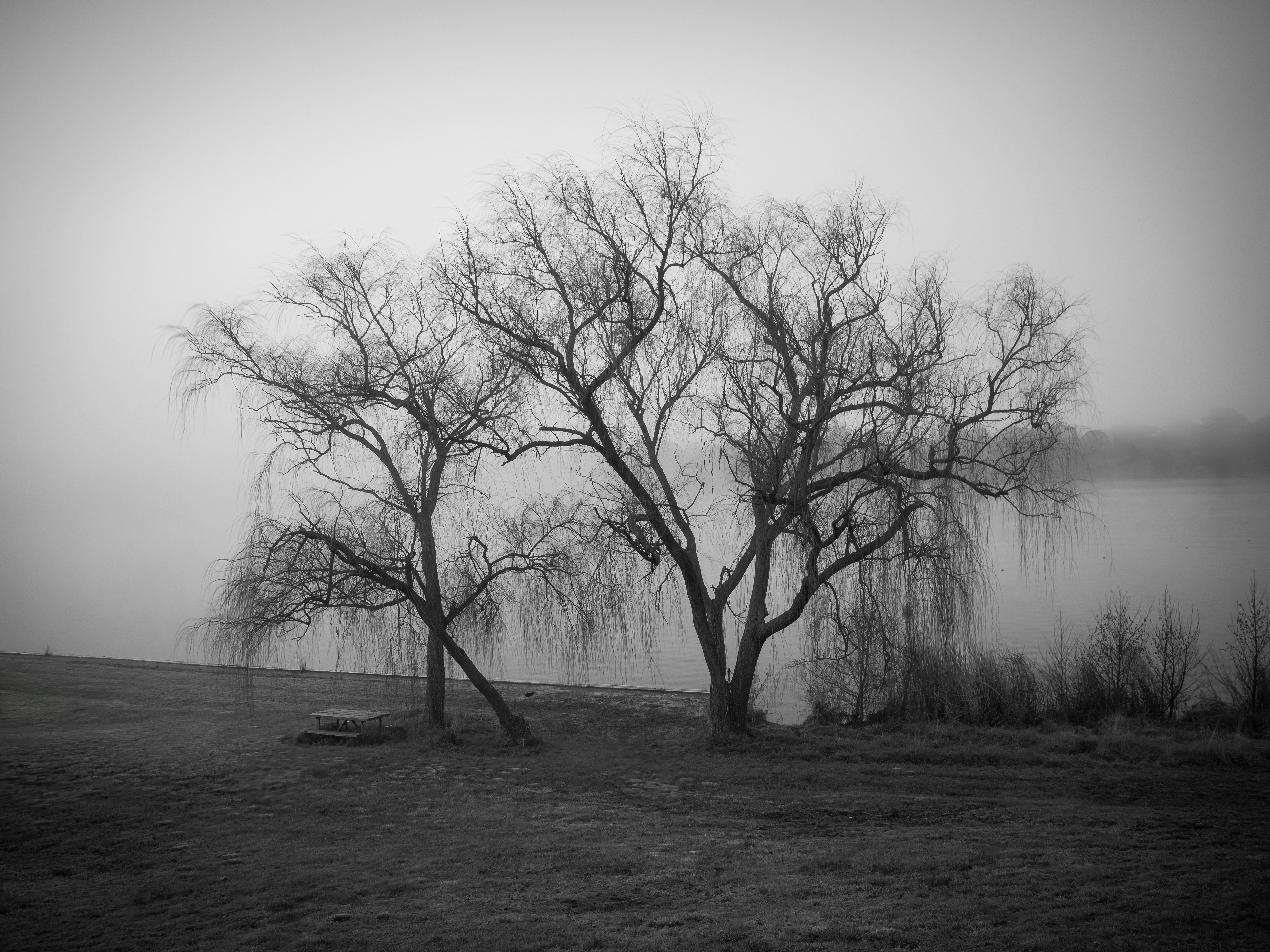 Photo by photoeightyeight