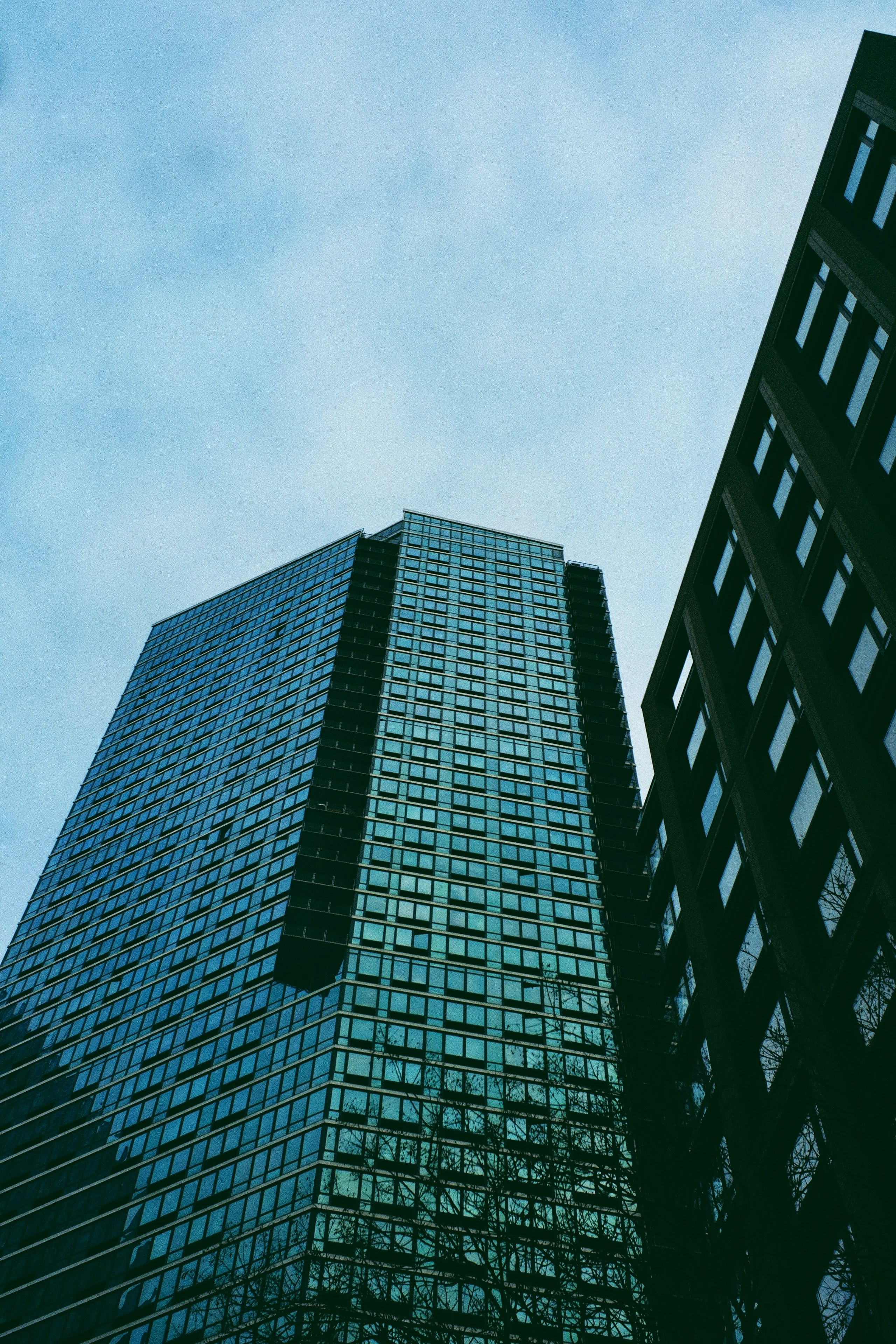 Photo by biancacecil