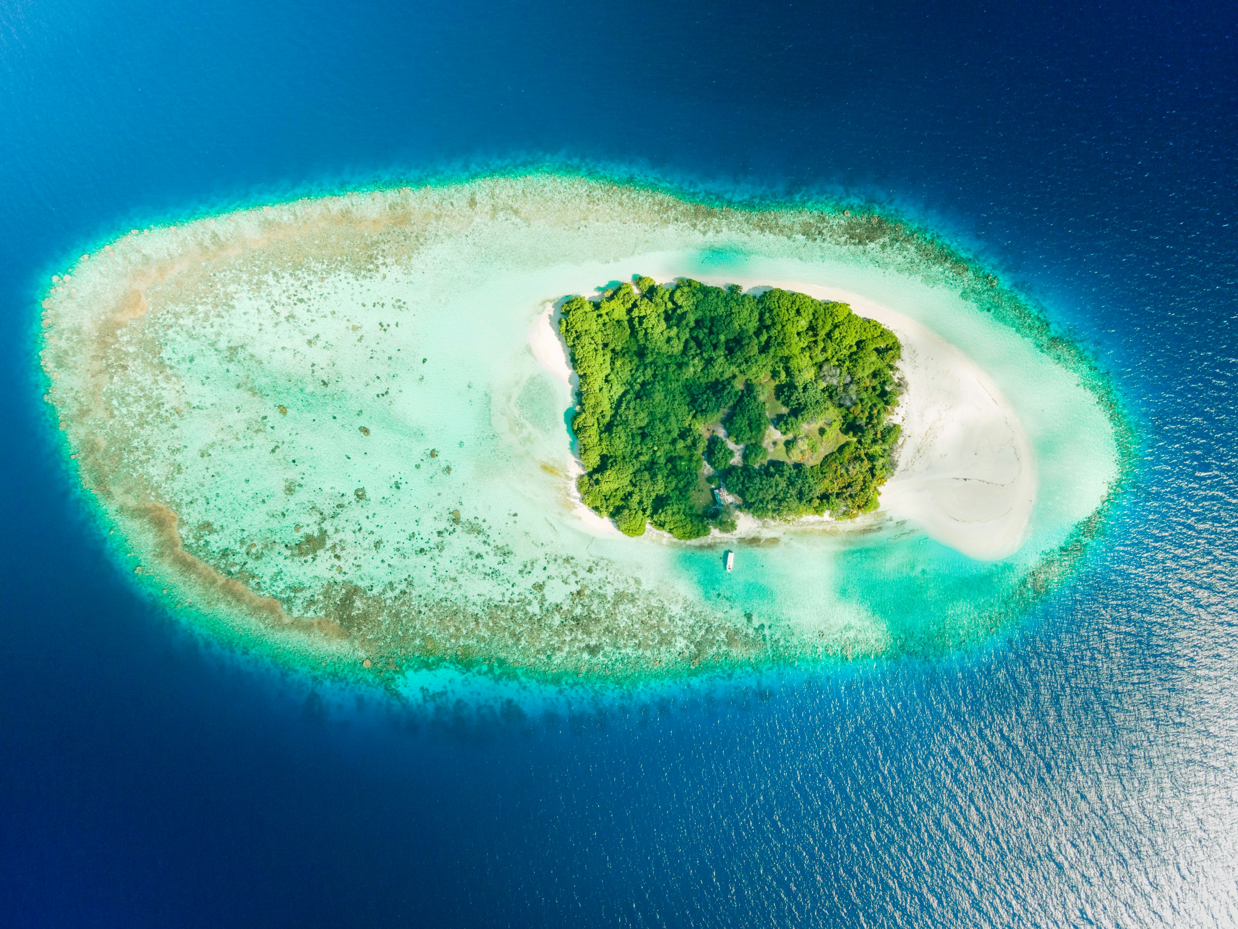 A lush green island surrounded by clear turquoise water.