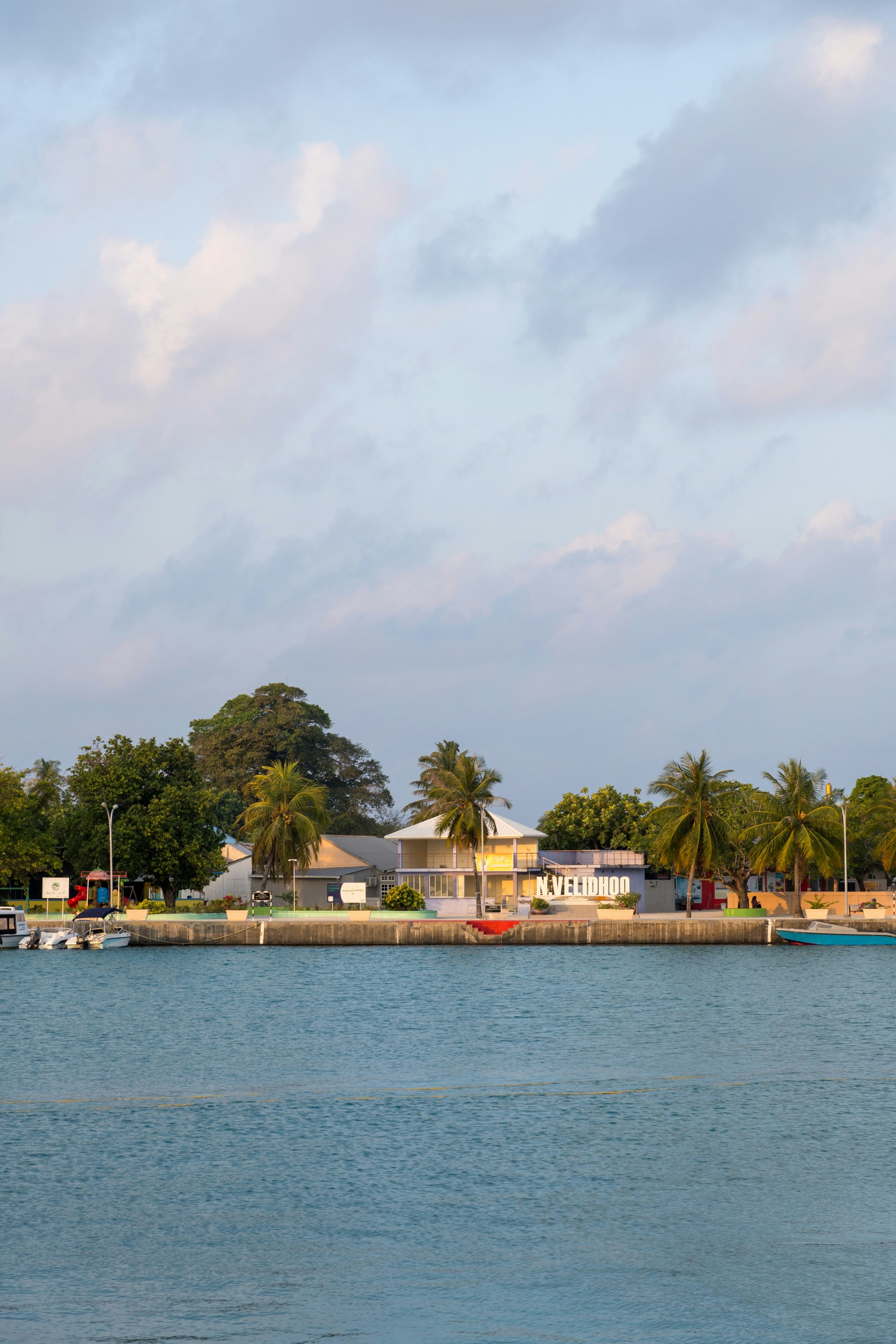 Tropical buildings with palm trees by the water.
