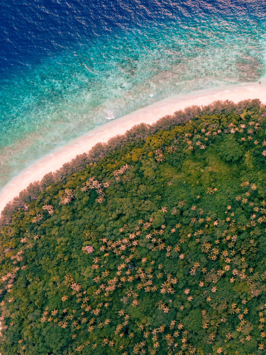 ターコイズブルーの海に浮かぶサンゴ礁の島（グレートバリアリーフ）