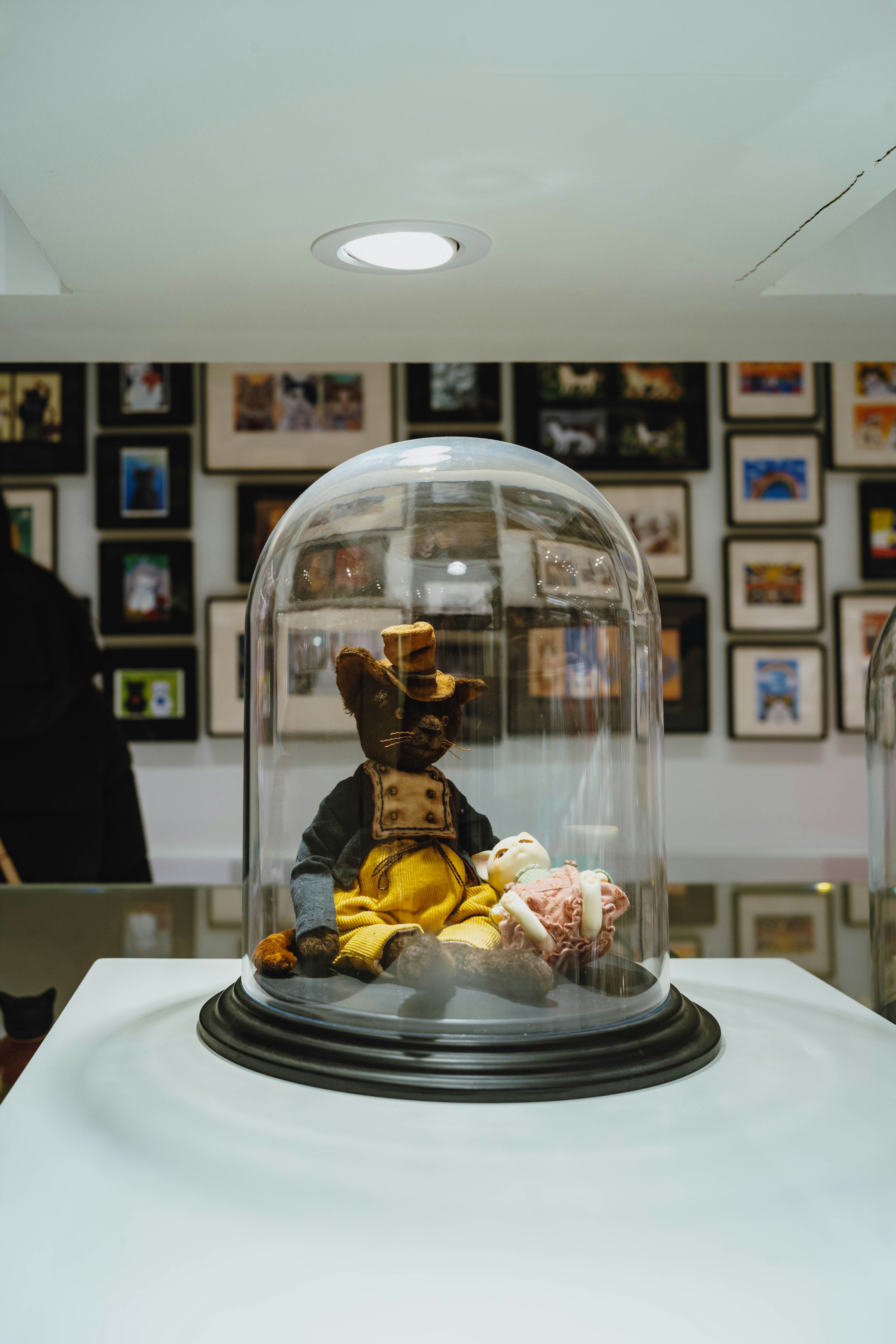 Photo by tommaomaoer