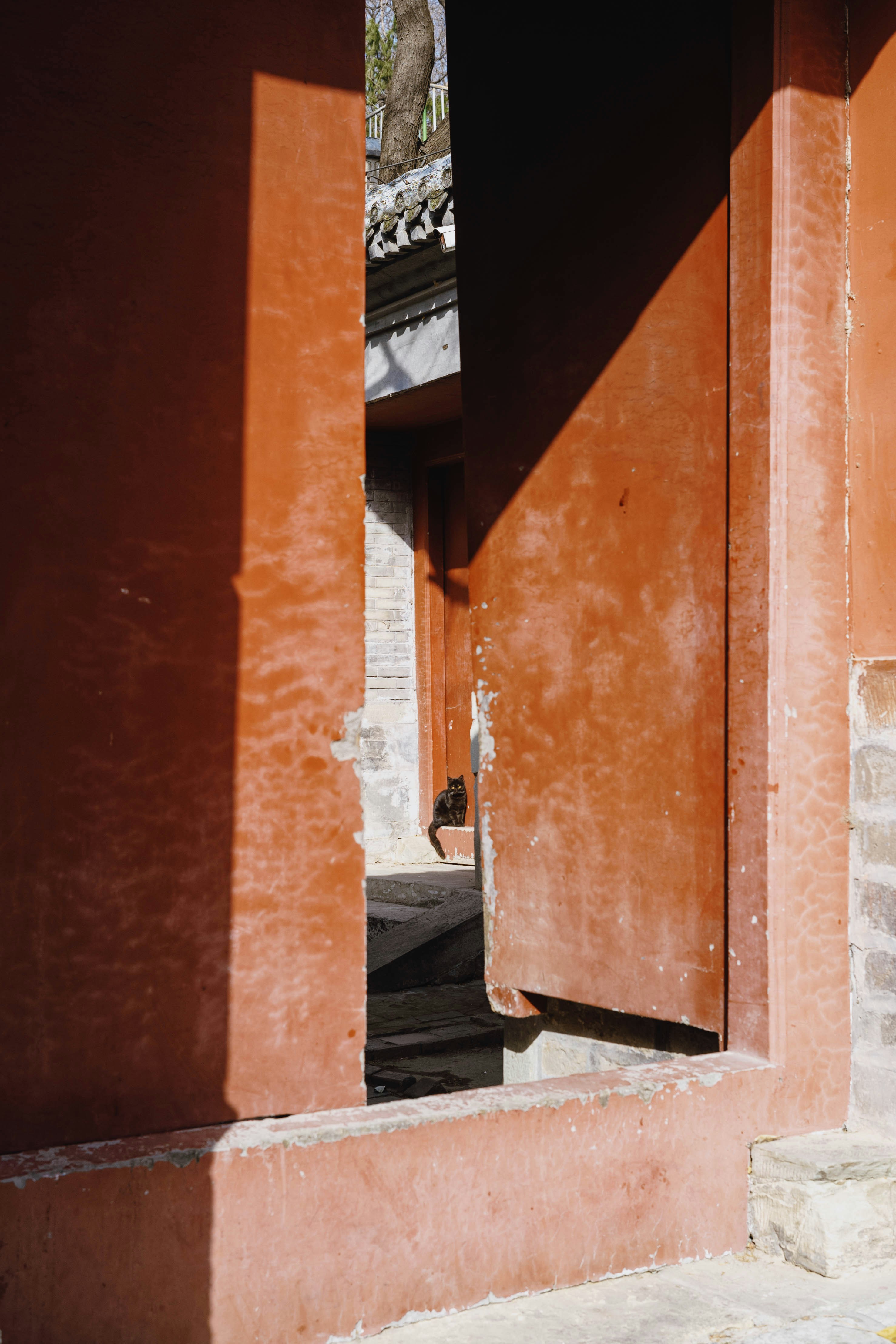 Photo by tommaomaoer