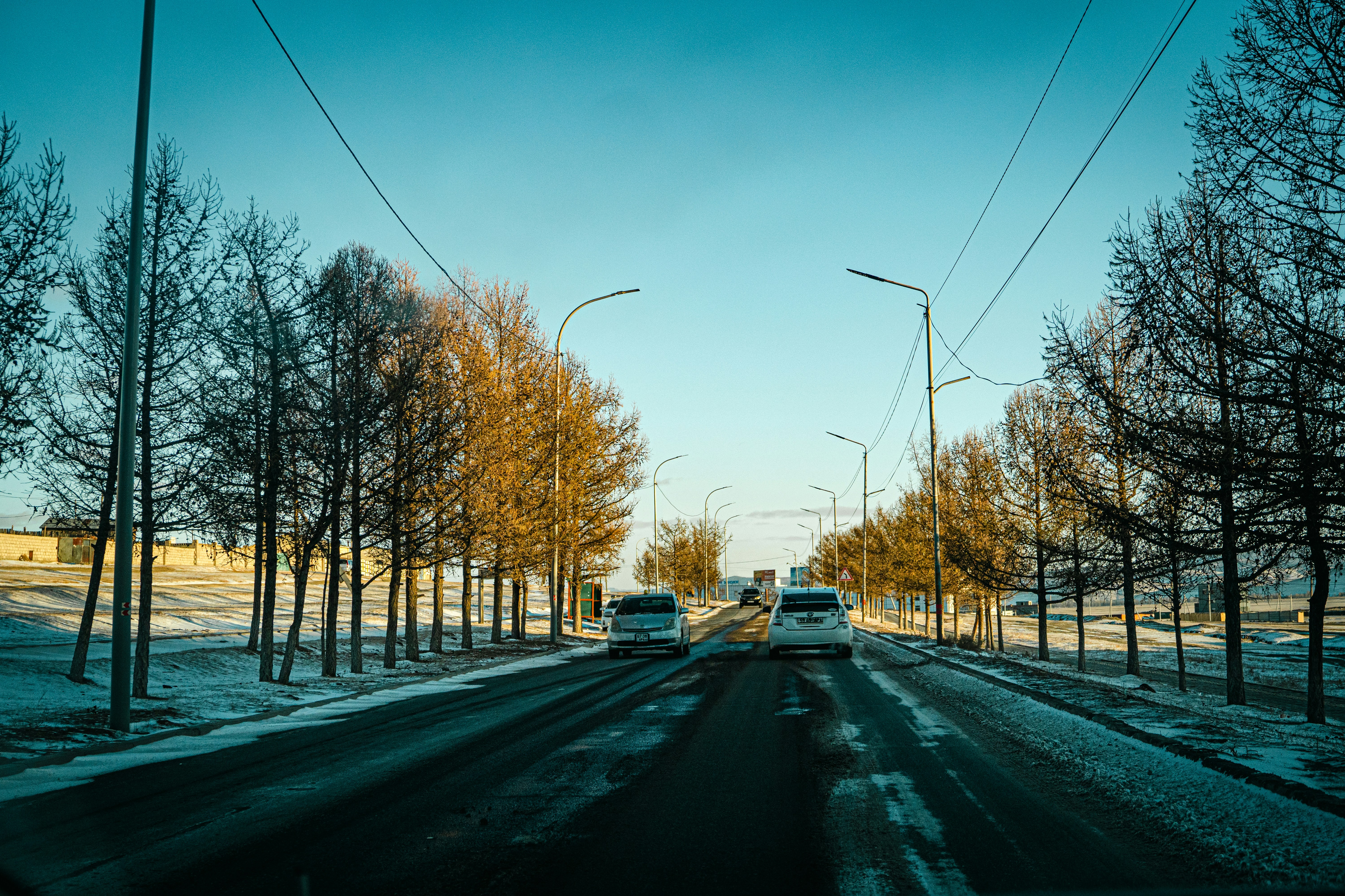Cars driving on a snowy road lined with trees.