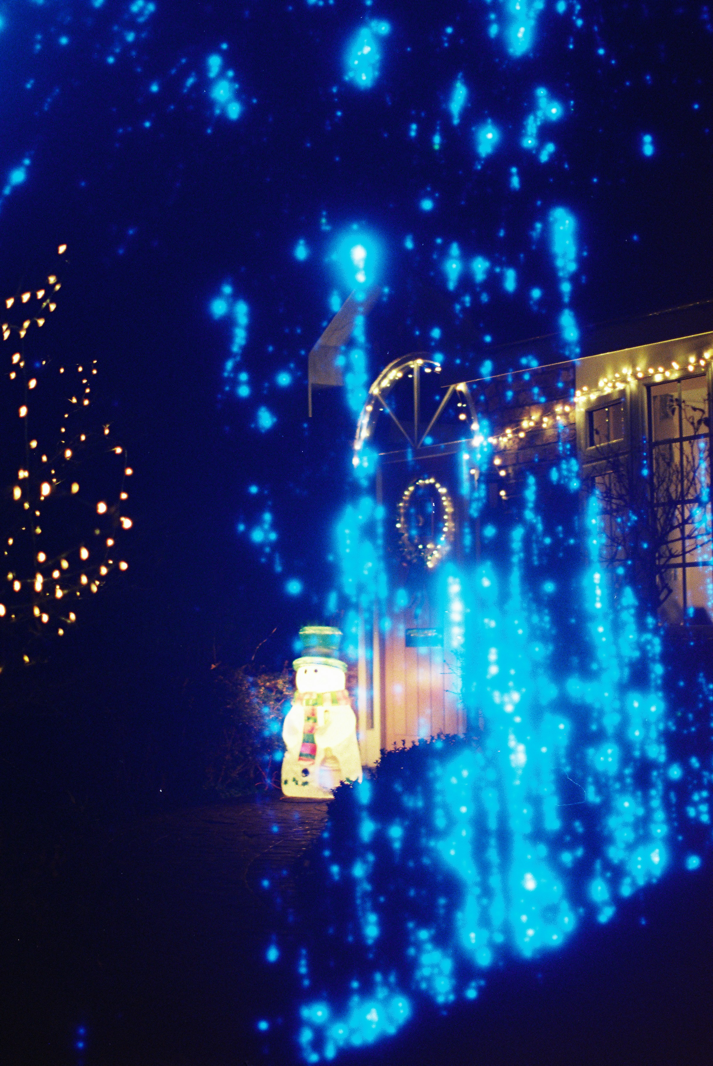 Photo by tanyabarrow