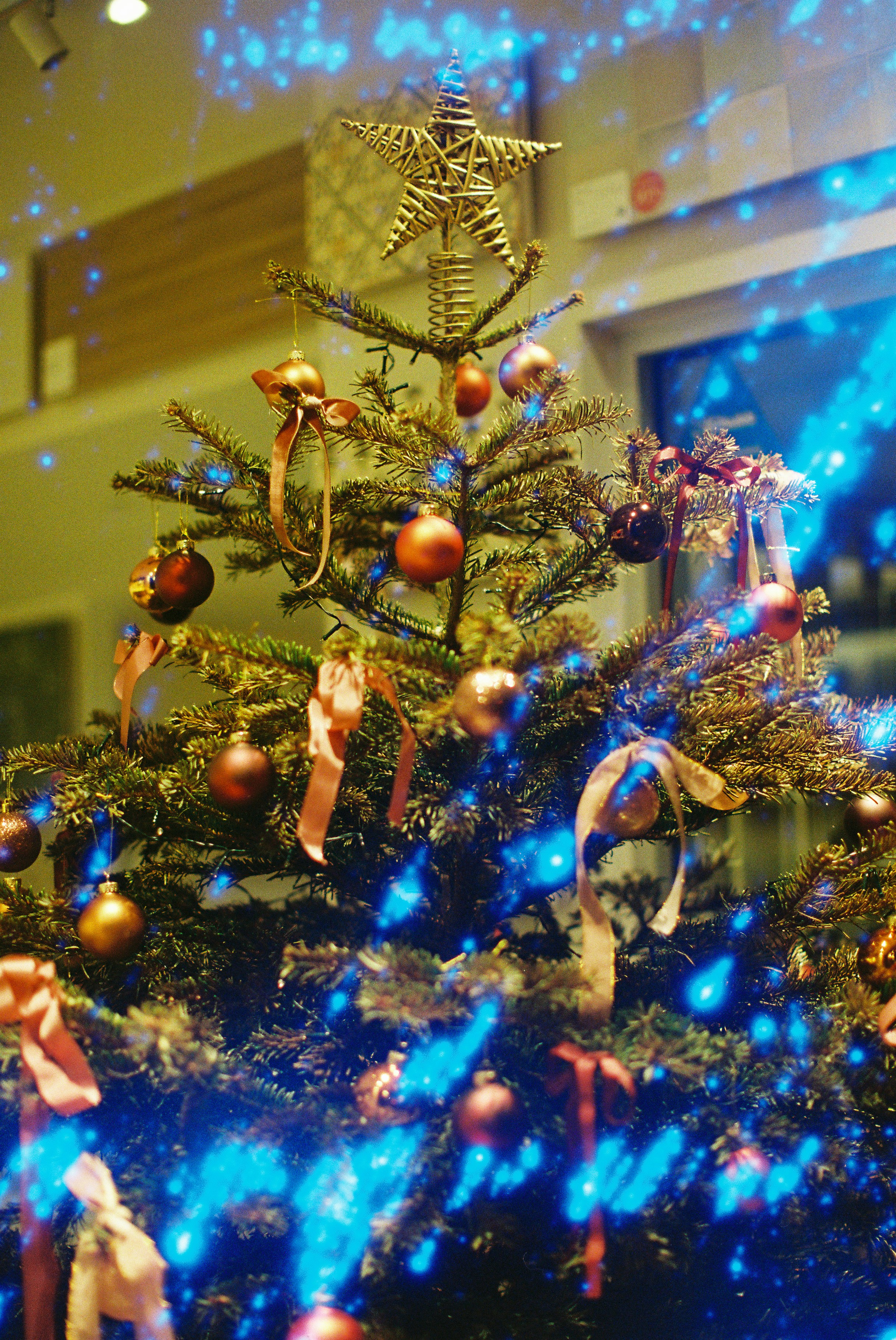 Photo by tanyabarrow