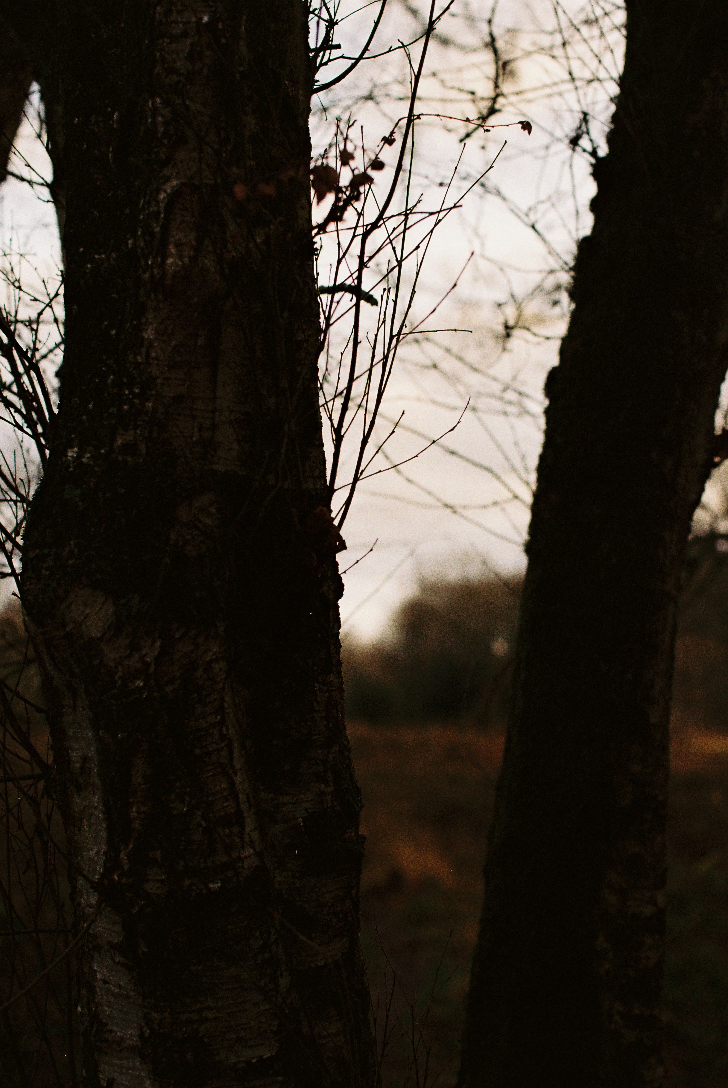 Photo by tanyabarrow