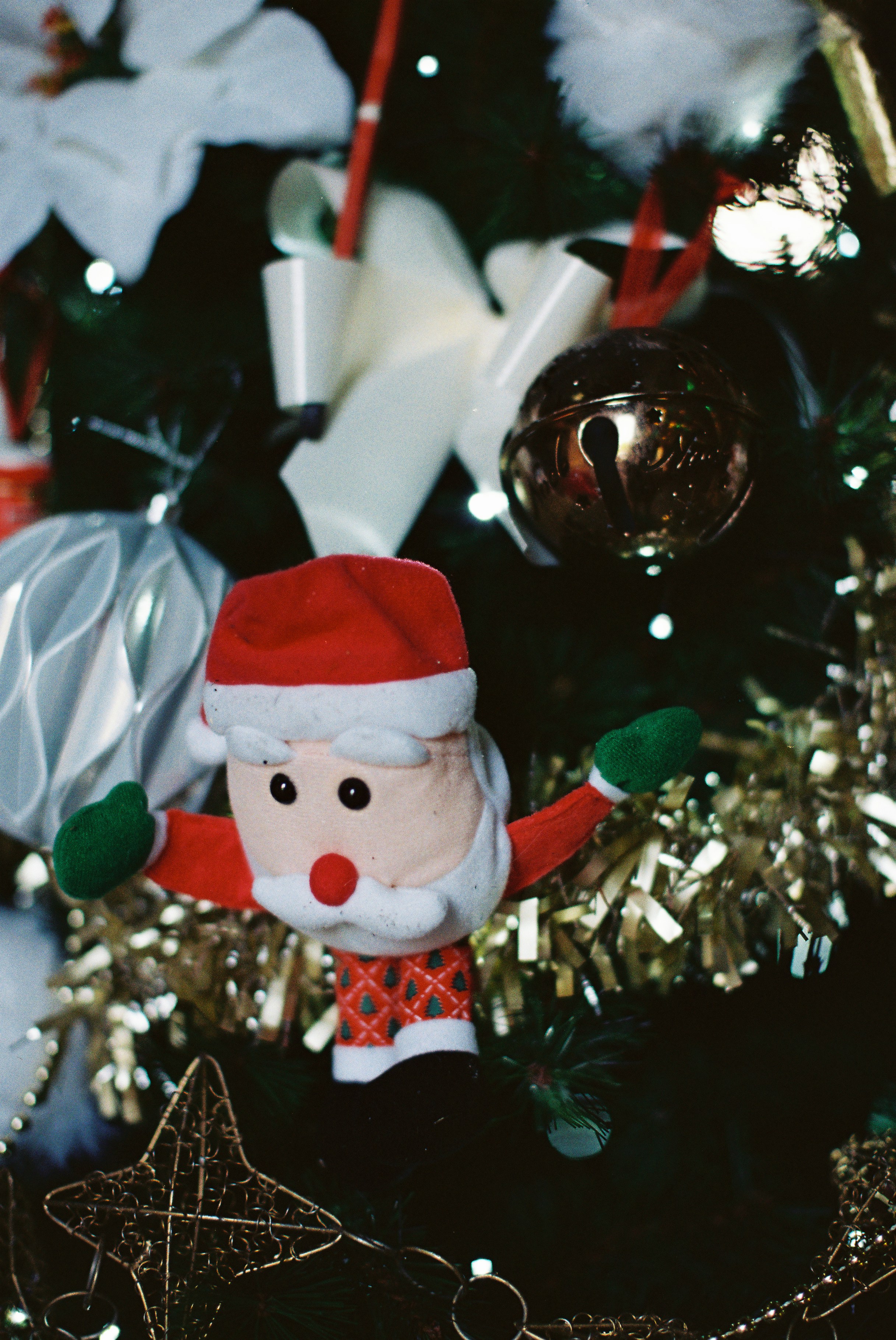 Photo by tanyabarrow