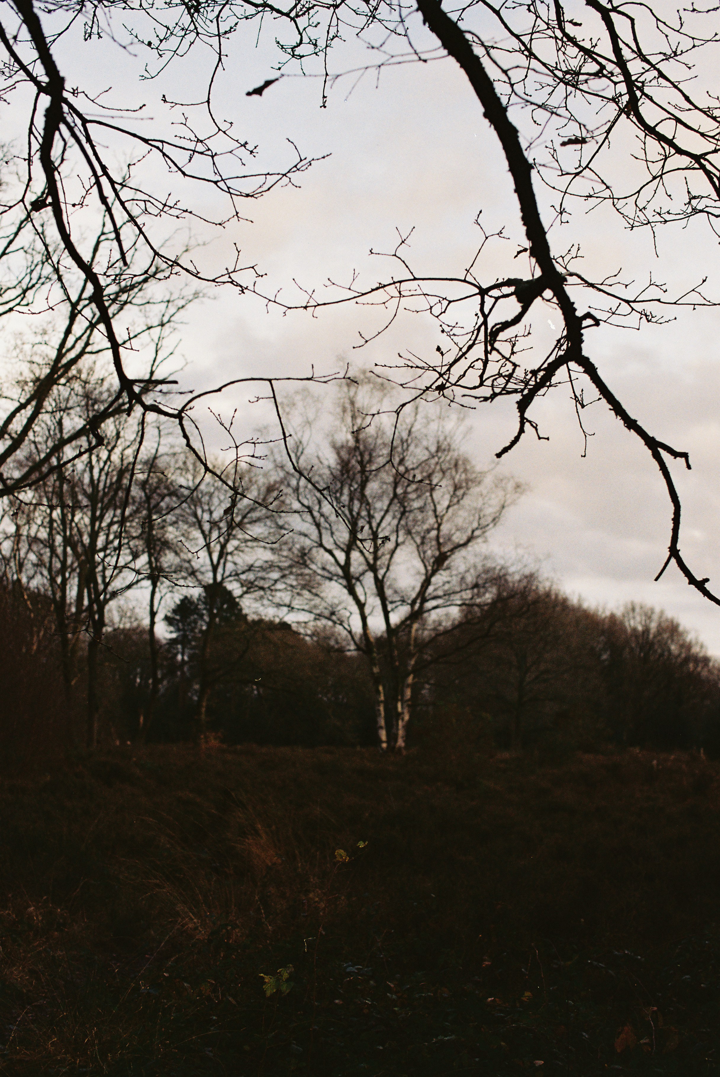 Photo by tanyabarrow