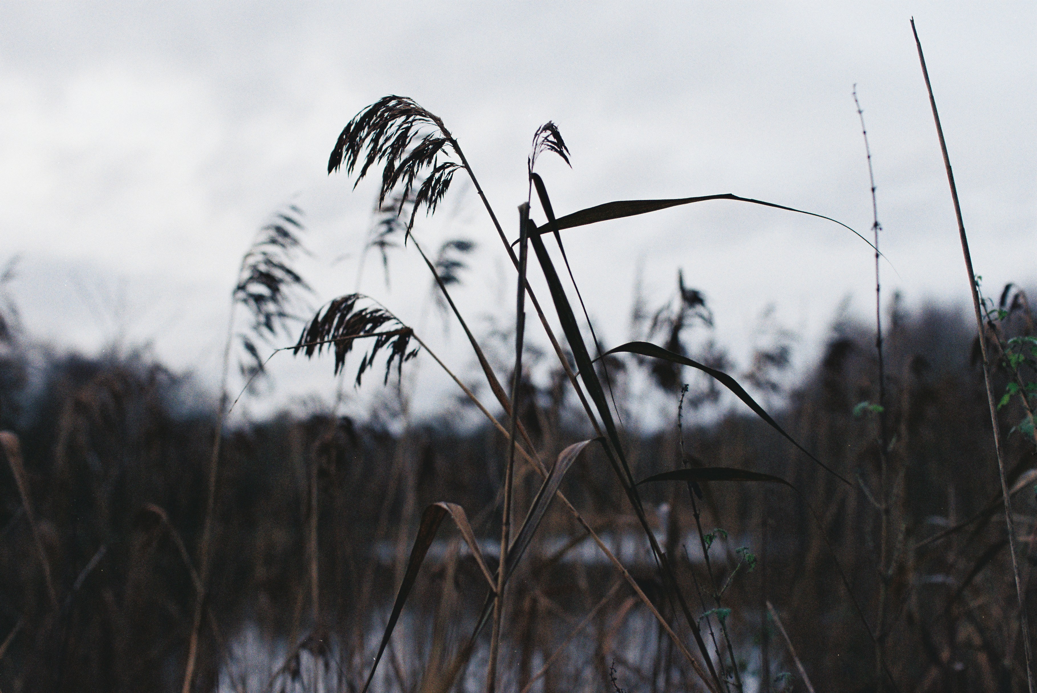 Photo by tanyabarrow