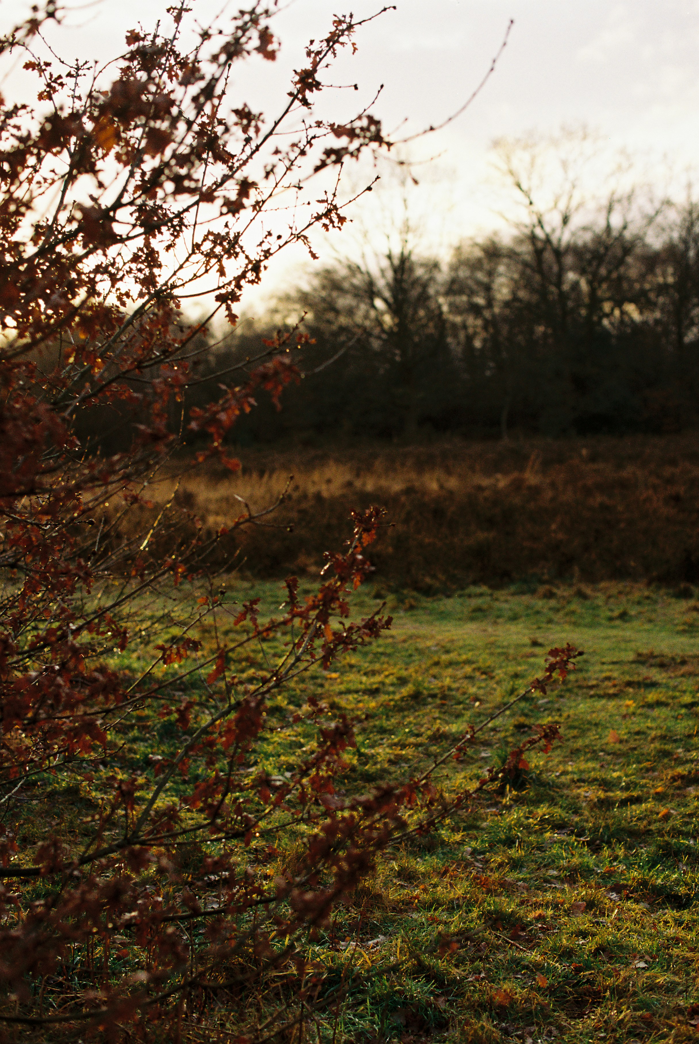 Photo by tanyabarrow