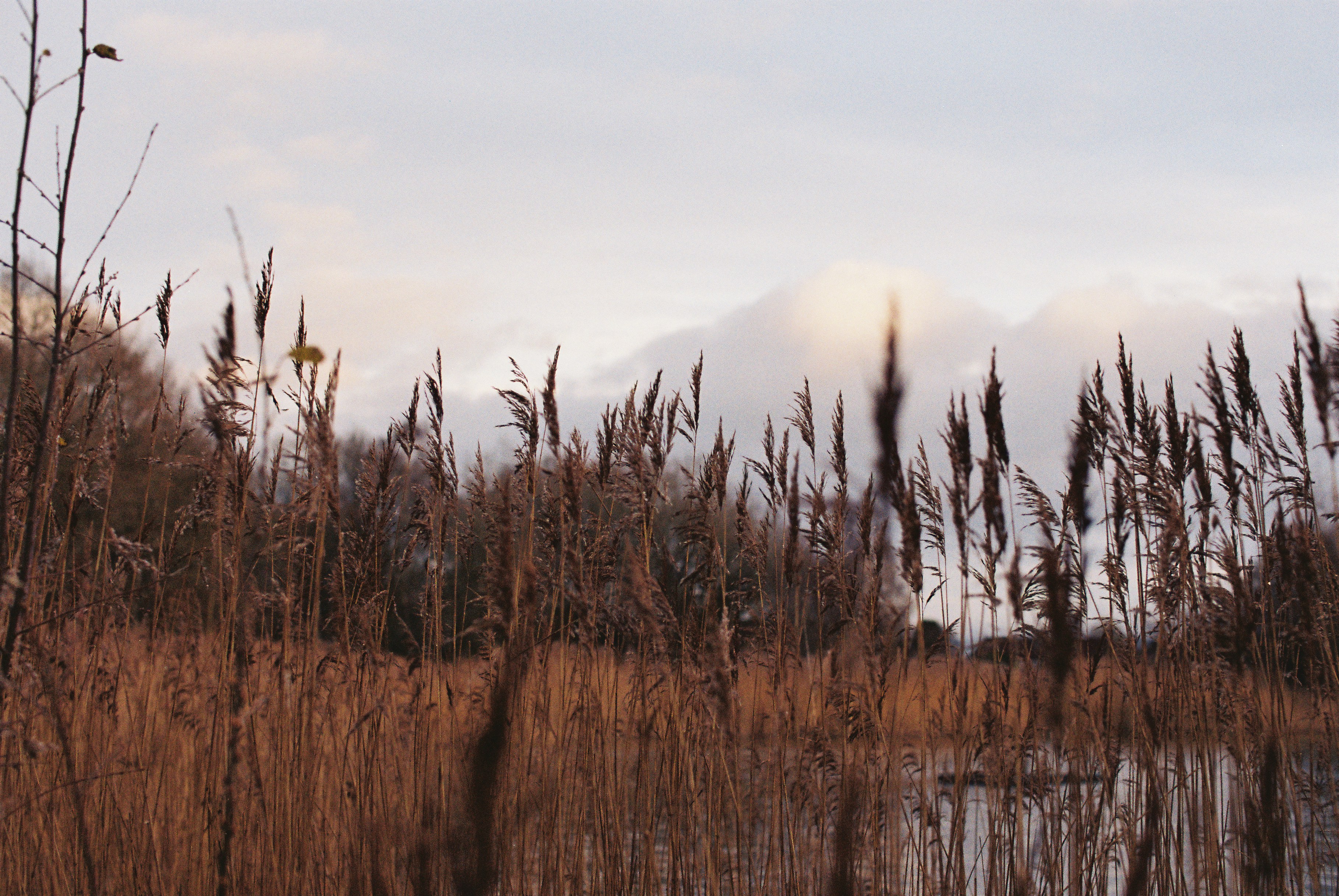 Photo by tanyabarrow