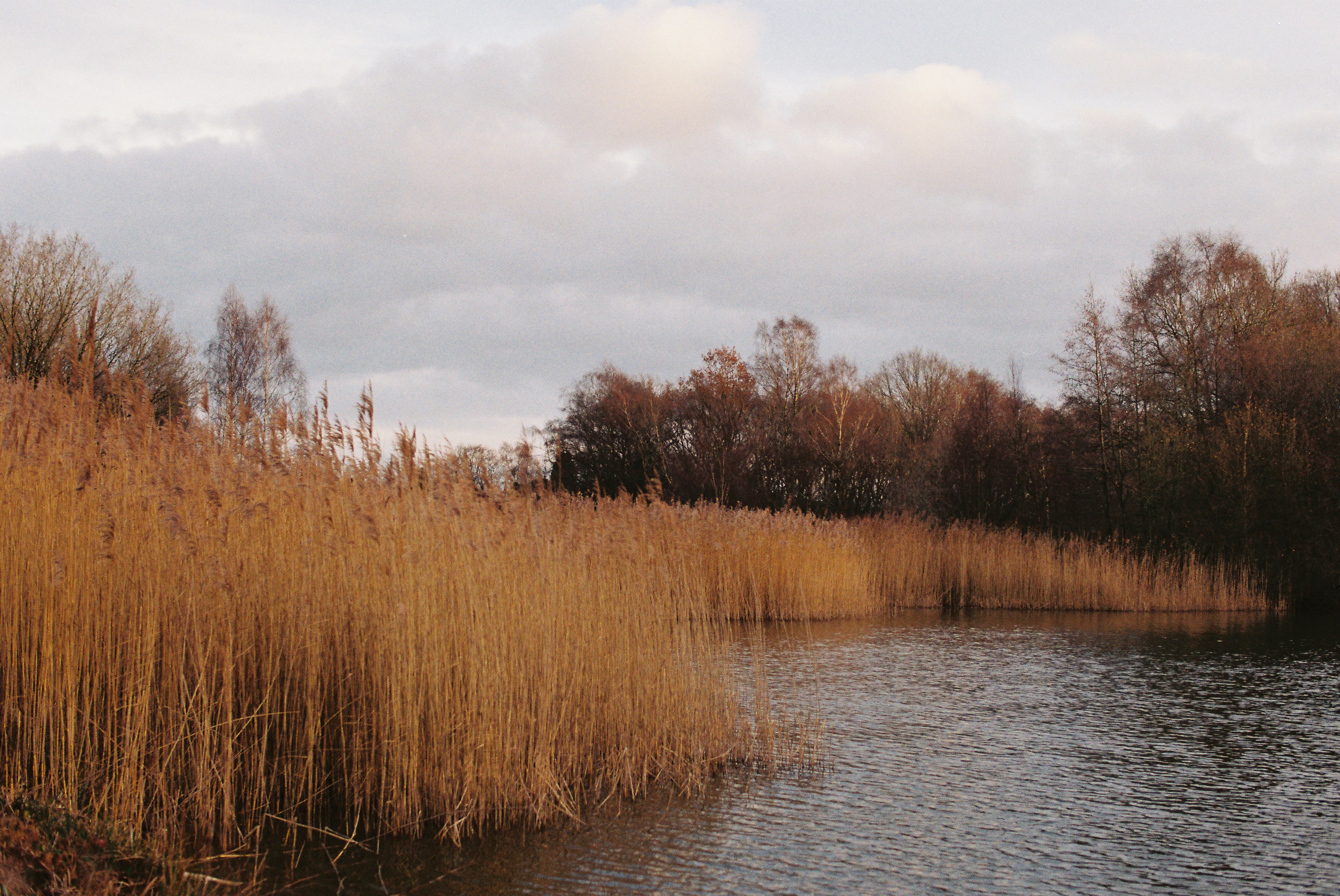 Photo by tanyabarrow