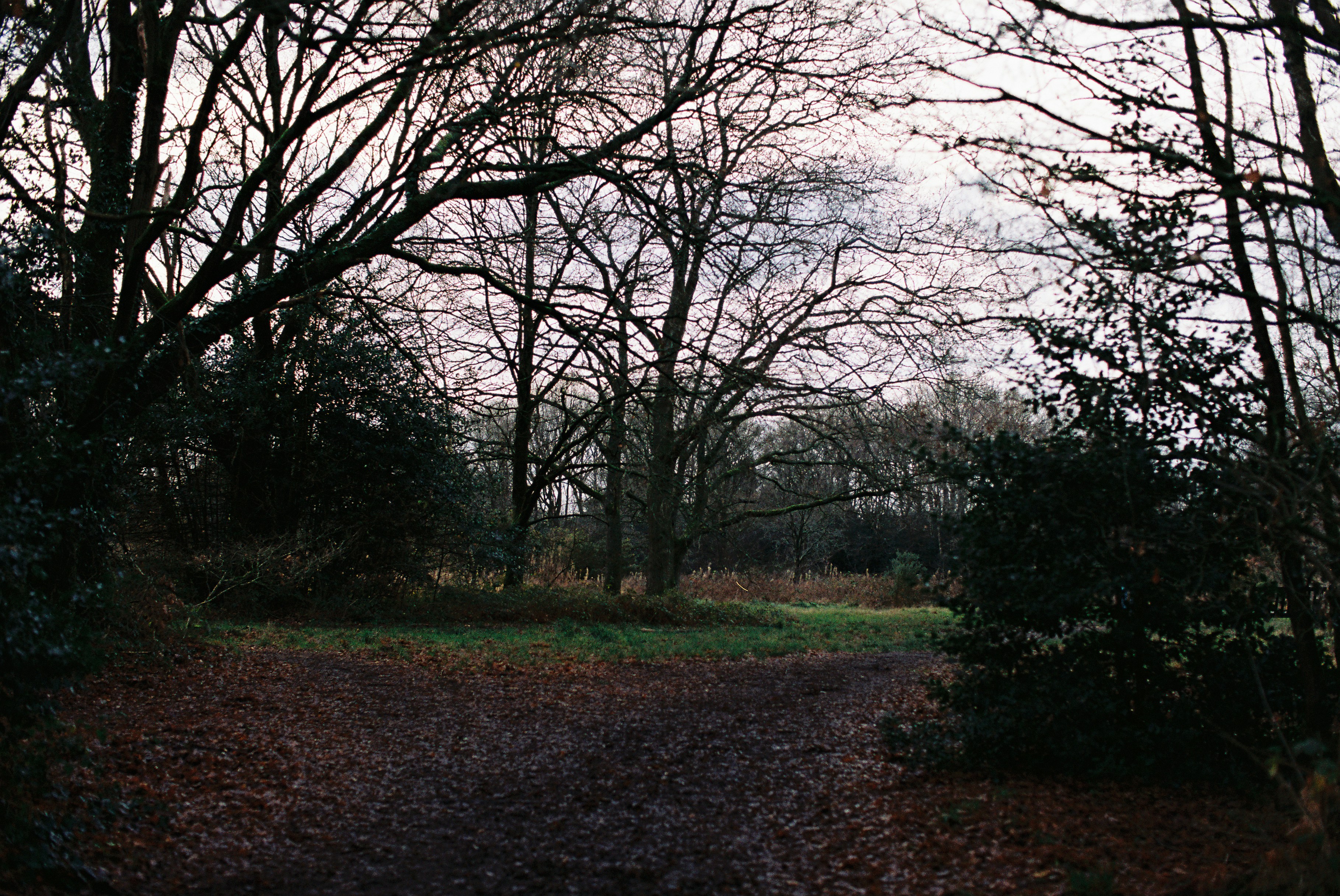 Photo by tanyabarrow