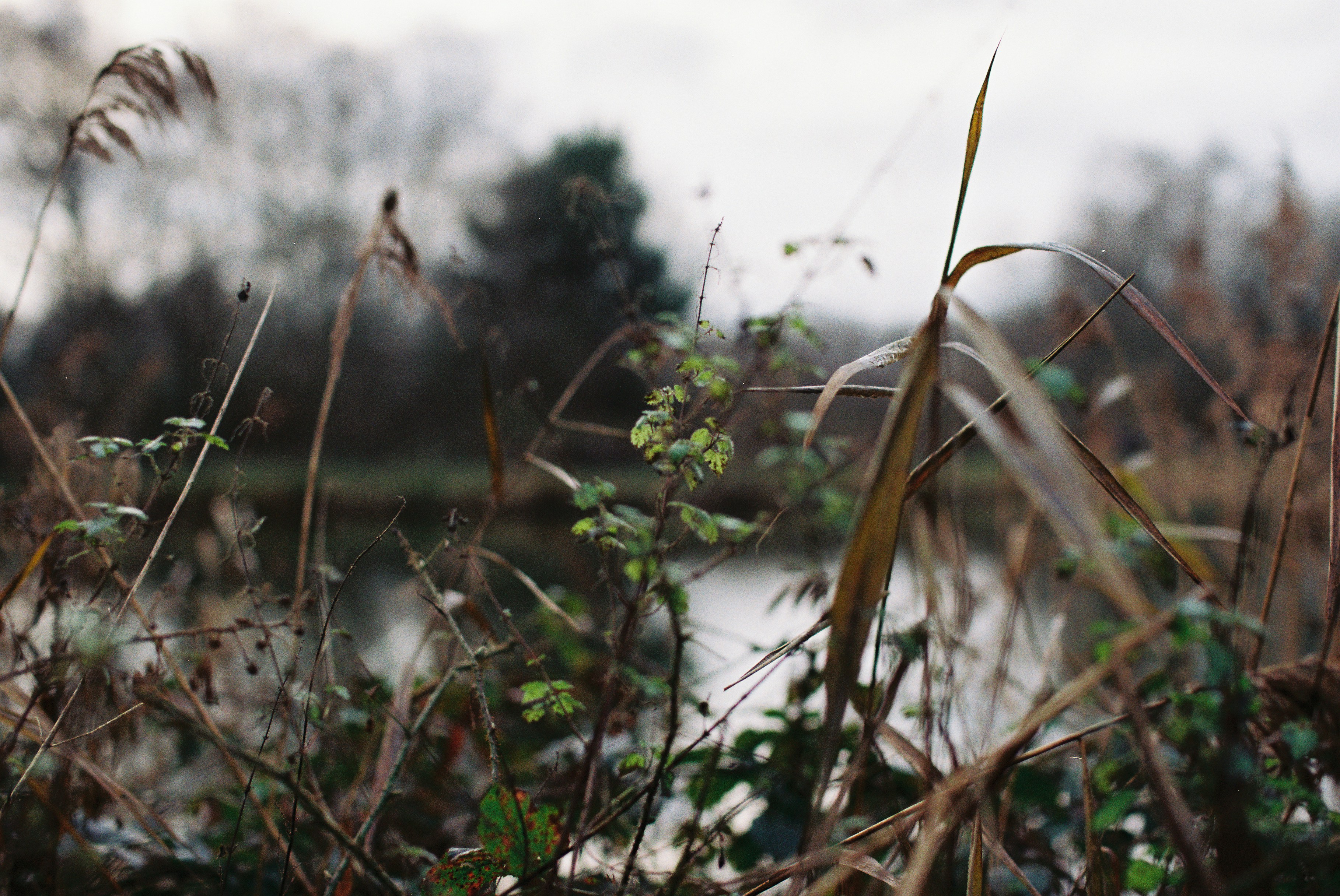 Photo by tanyabarrow