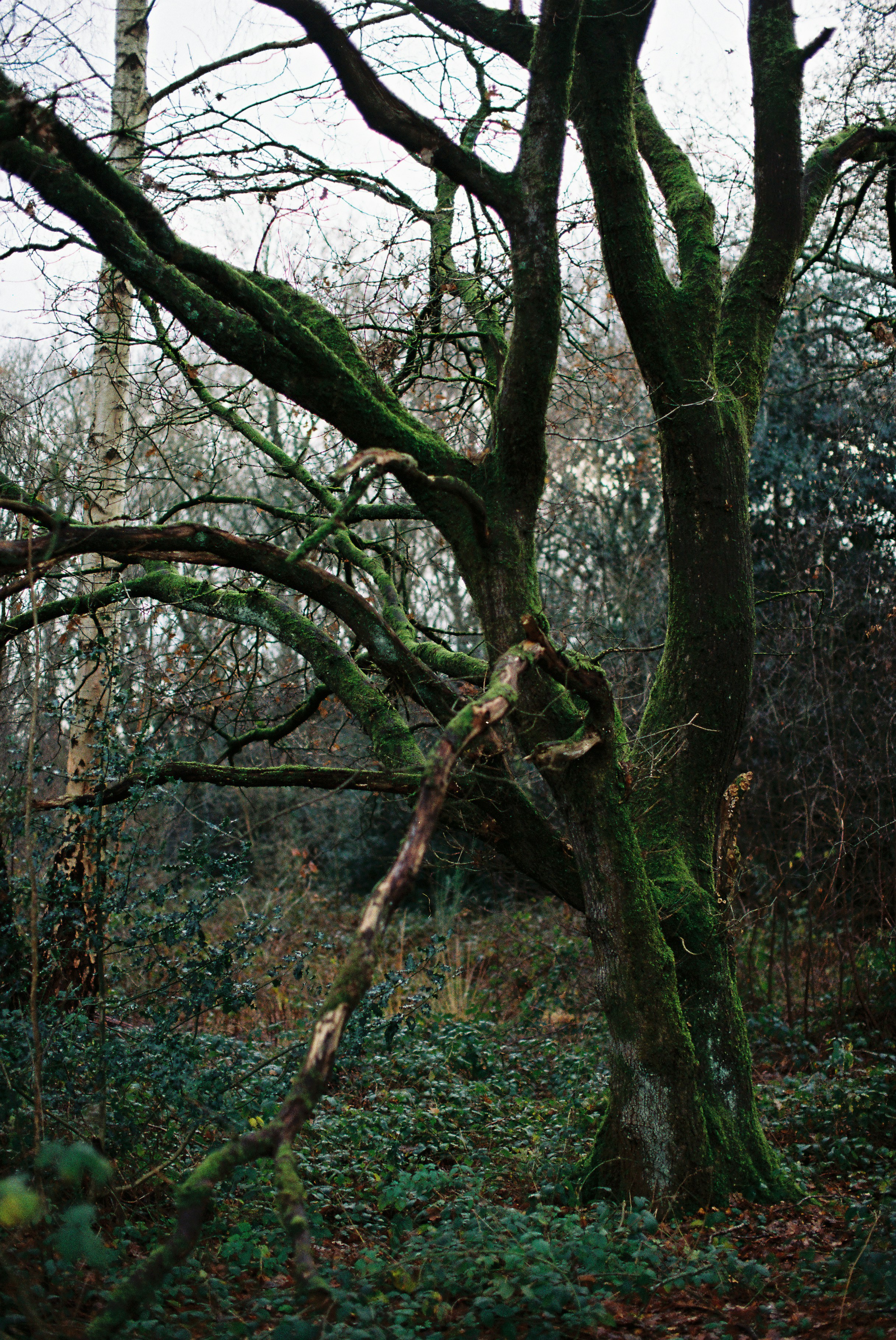 Photo by tanyabarrow