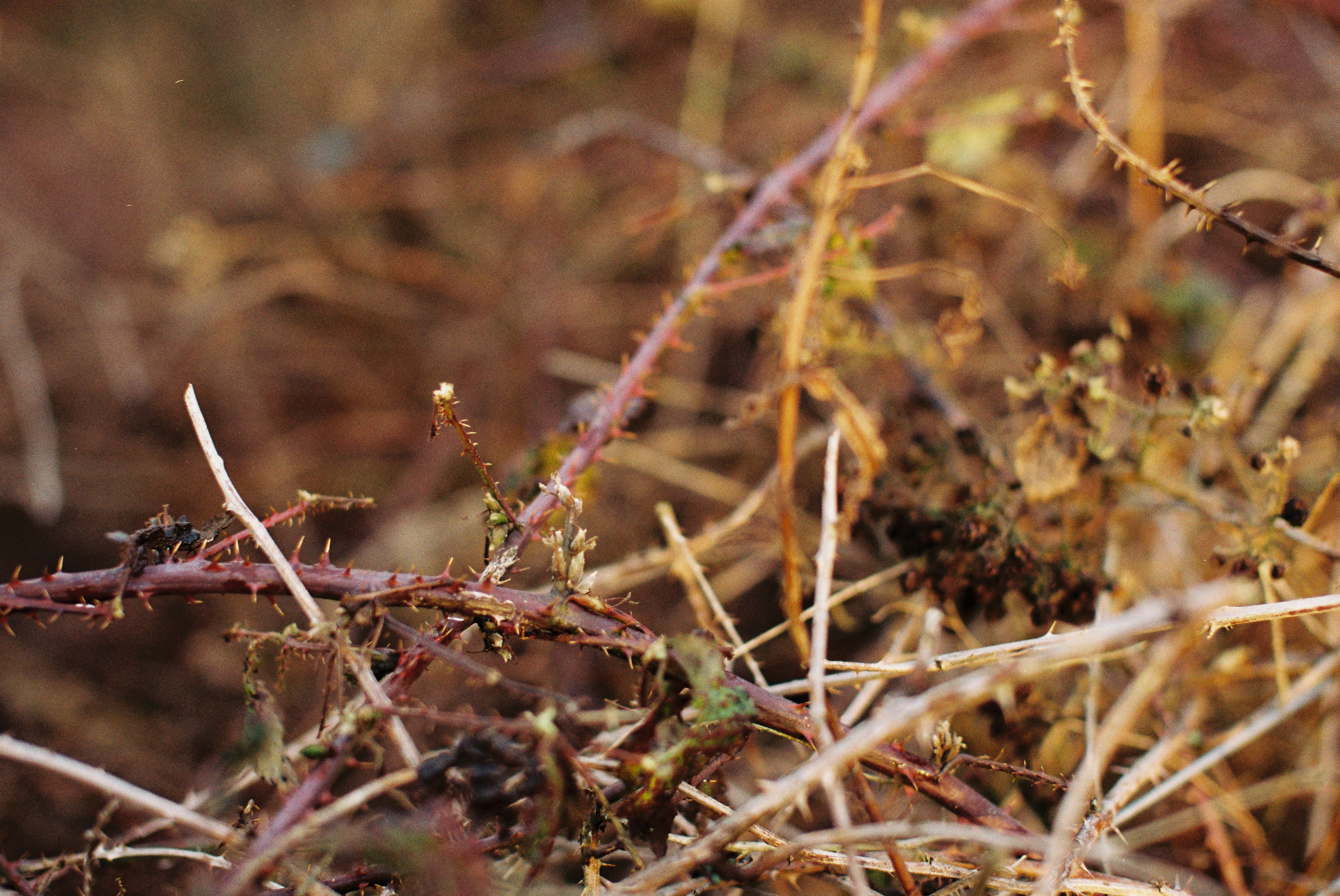 Photo by tanyabarrow