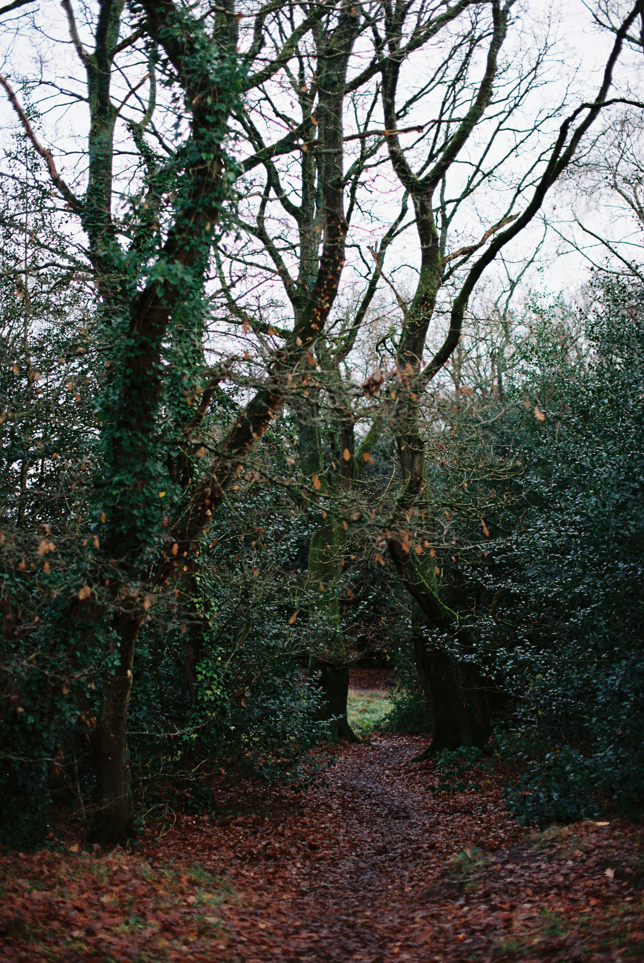 Photo by tanyabarrow