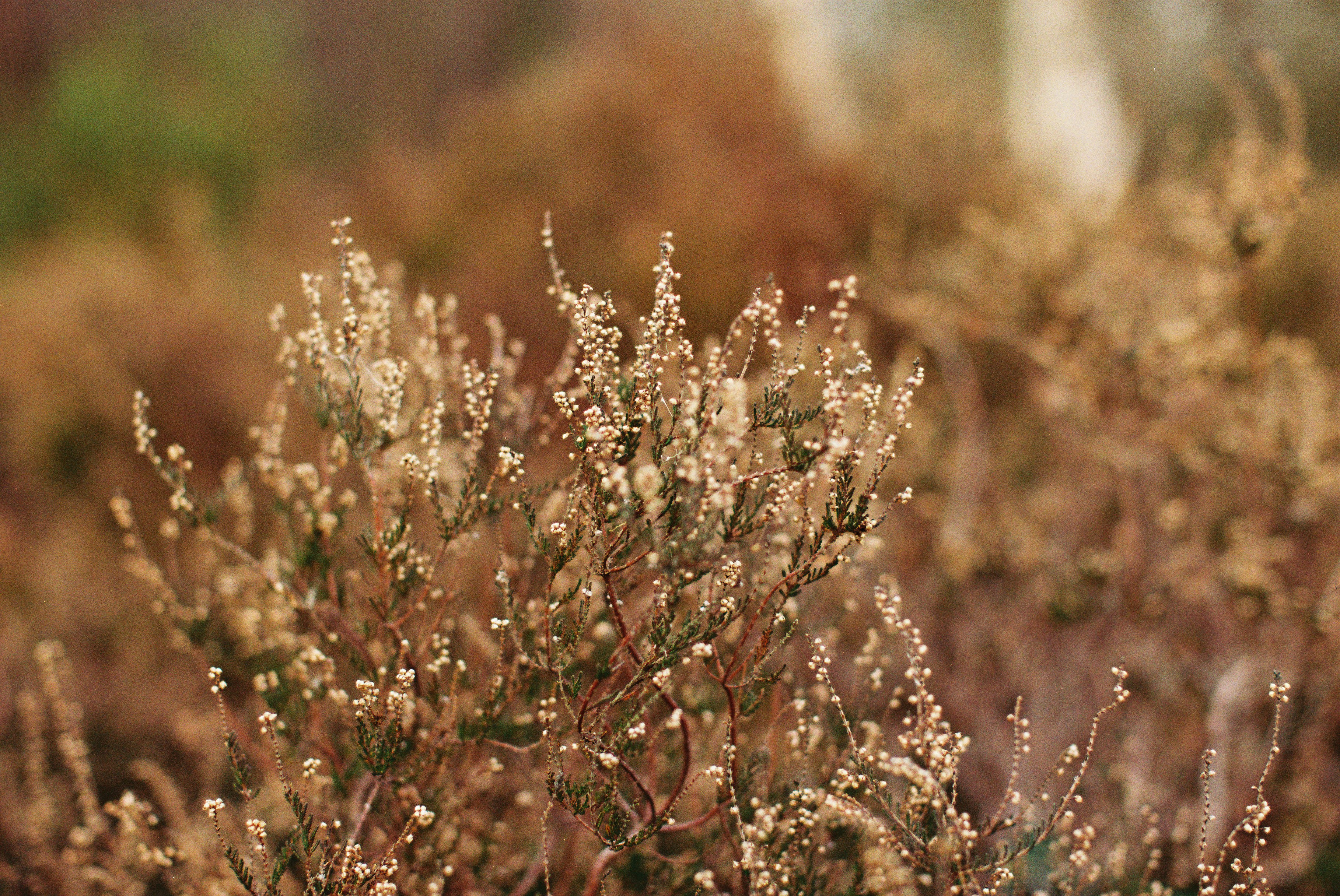 Photo by tanyabarrow