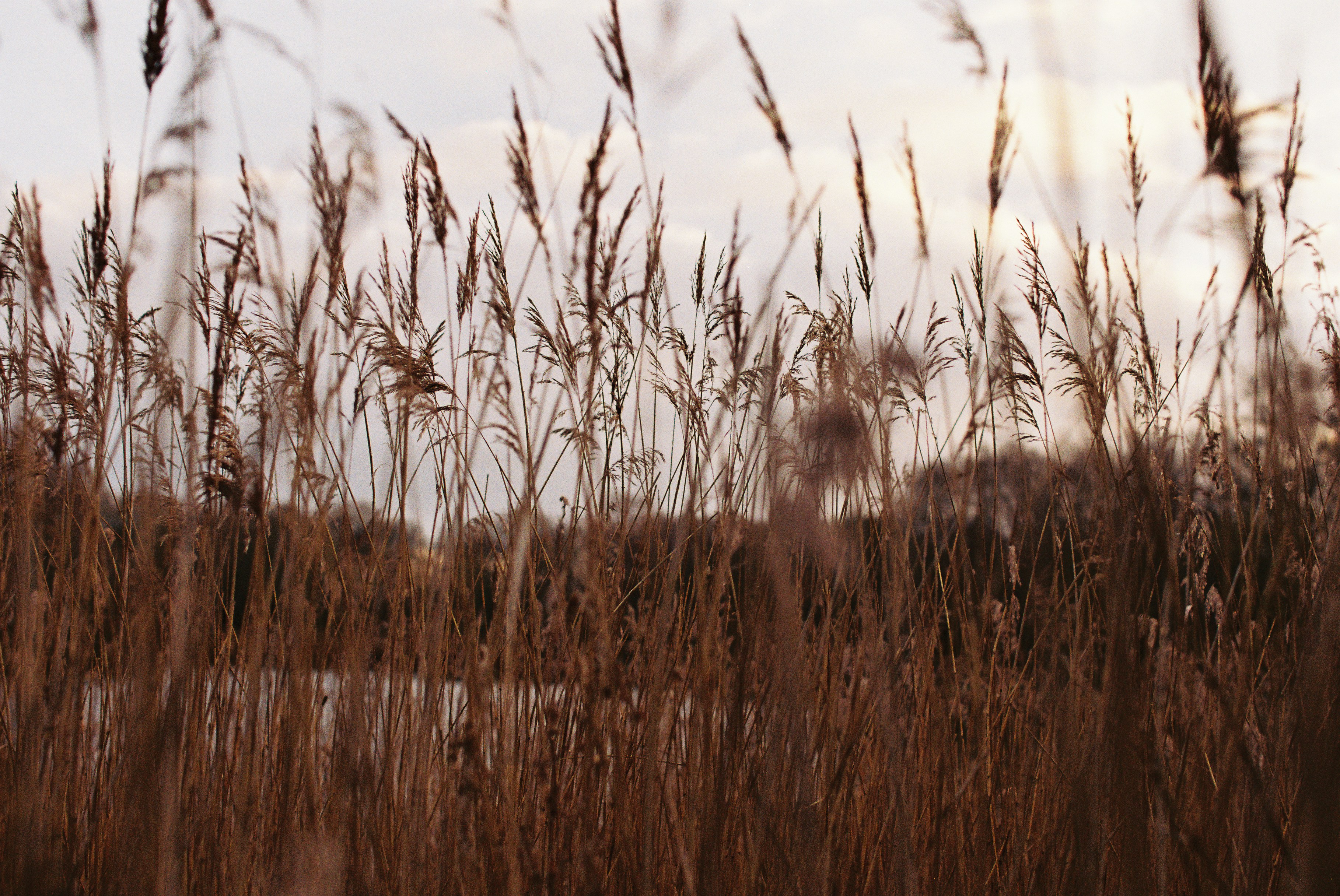 Photo by tanyabarrow