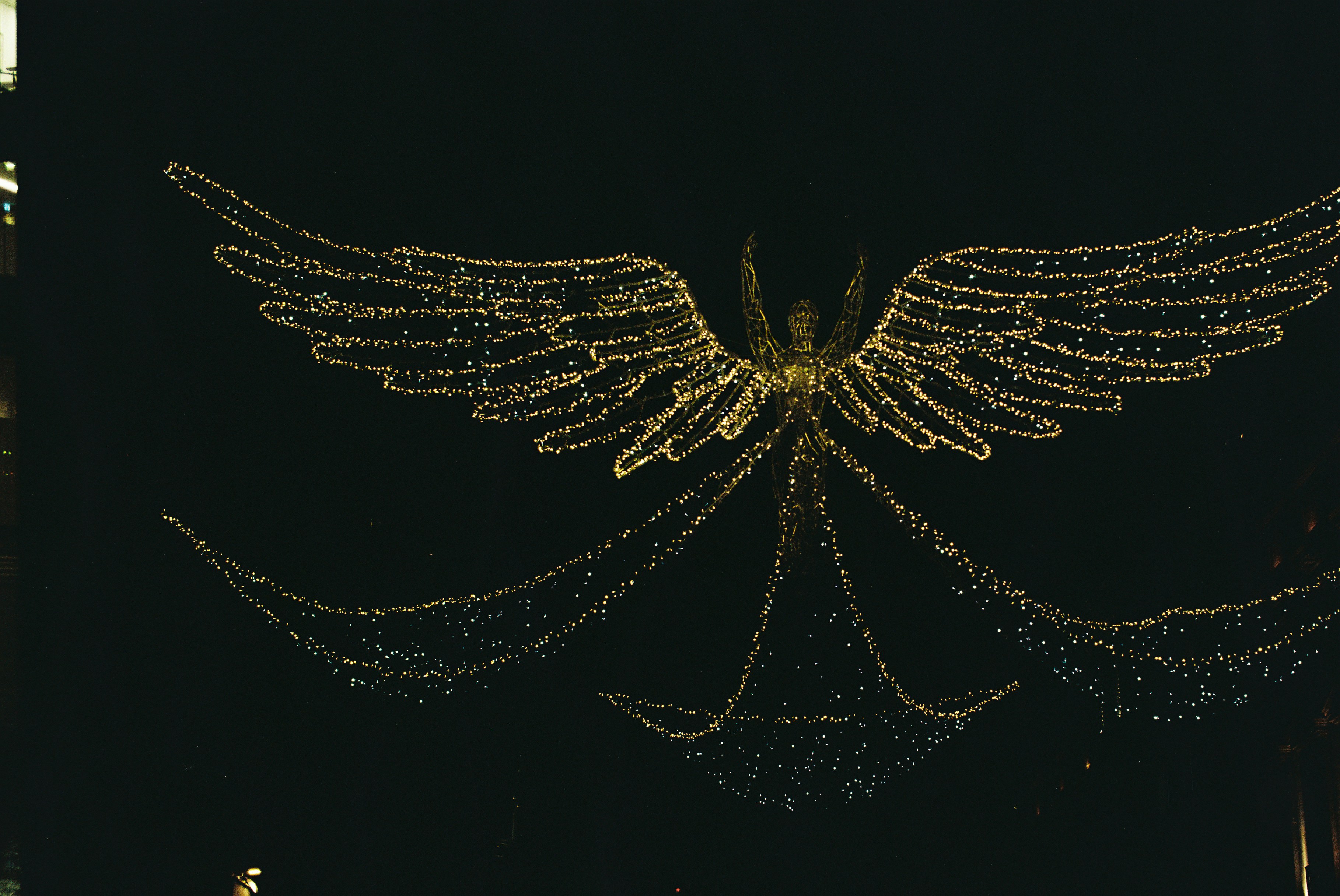 Sbirolino Angeln: Die unterschätzte Methode für Forelle und Weißfisch