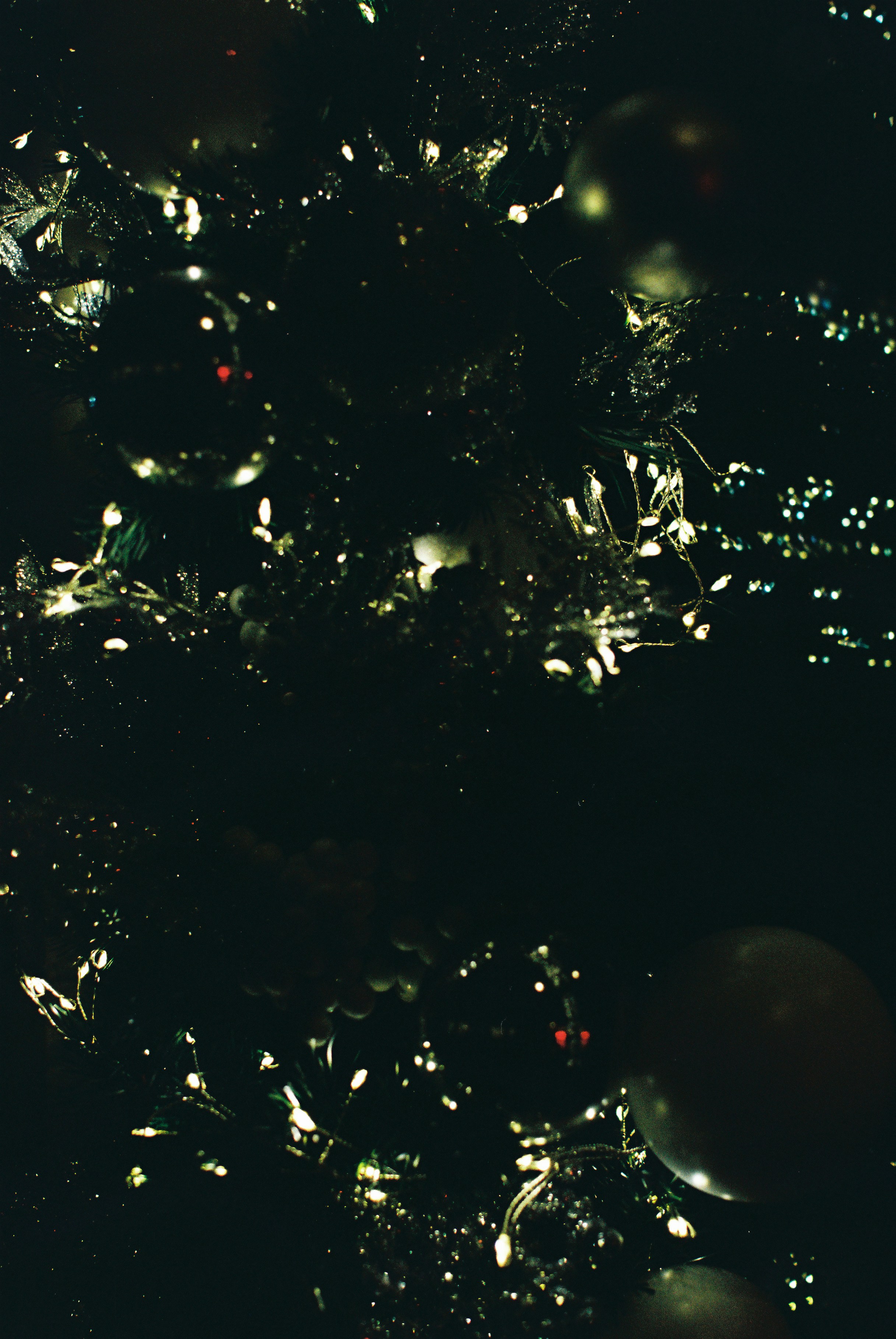 Photo by tanyabarrow