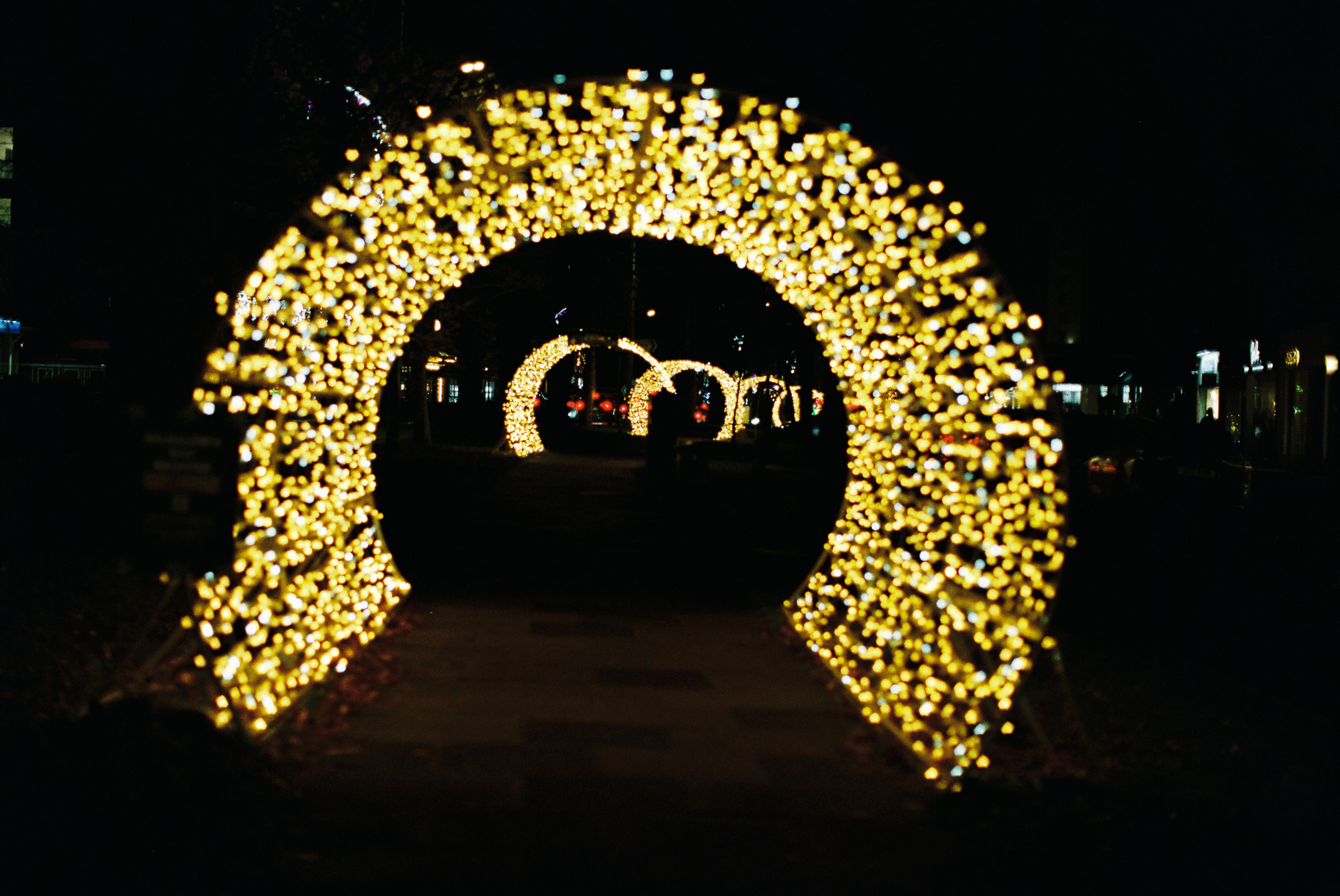 Photo by tanyabarrow