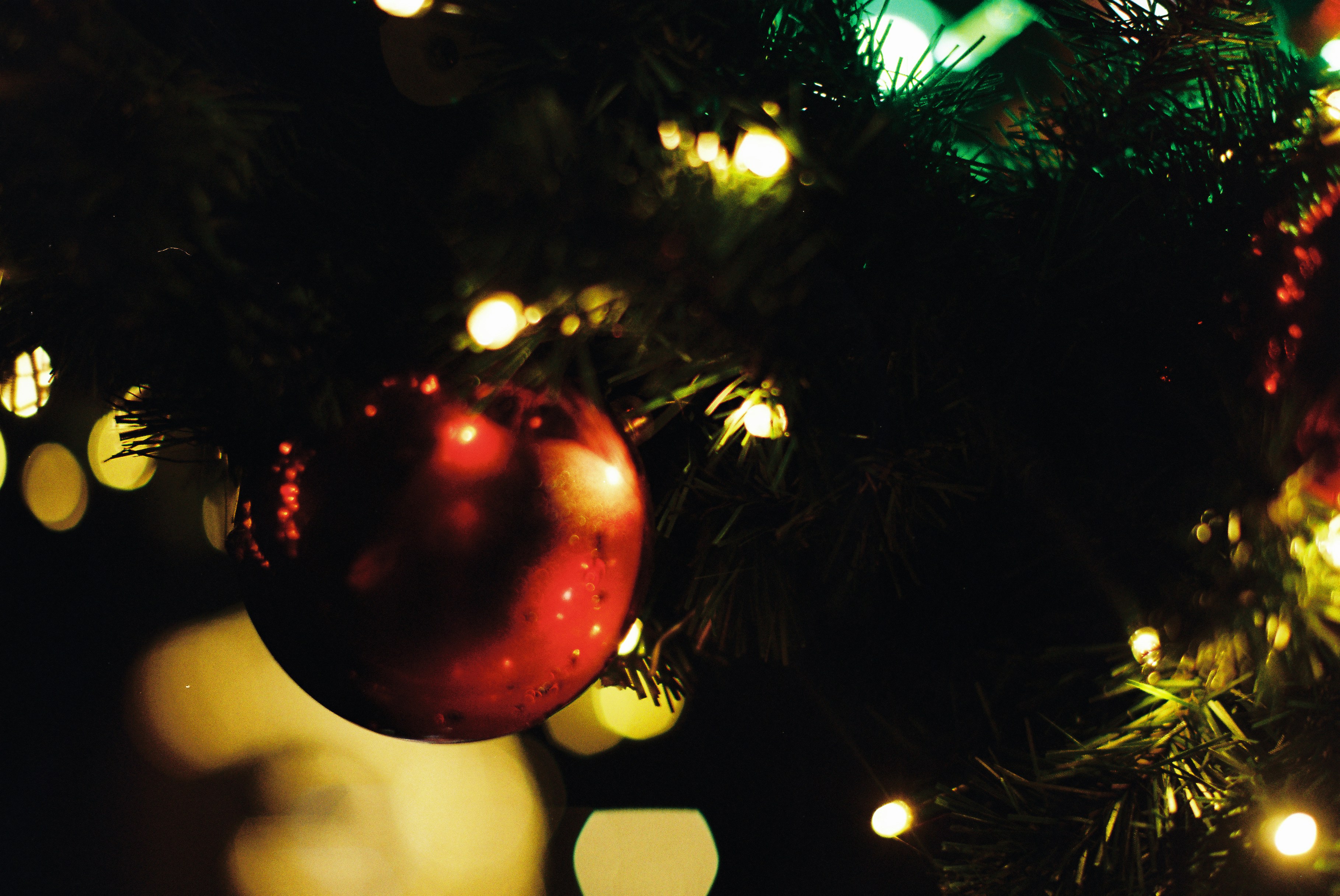 Photo by tanyabarrow