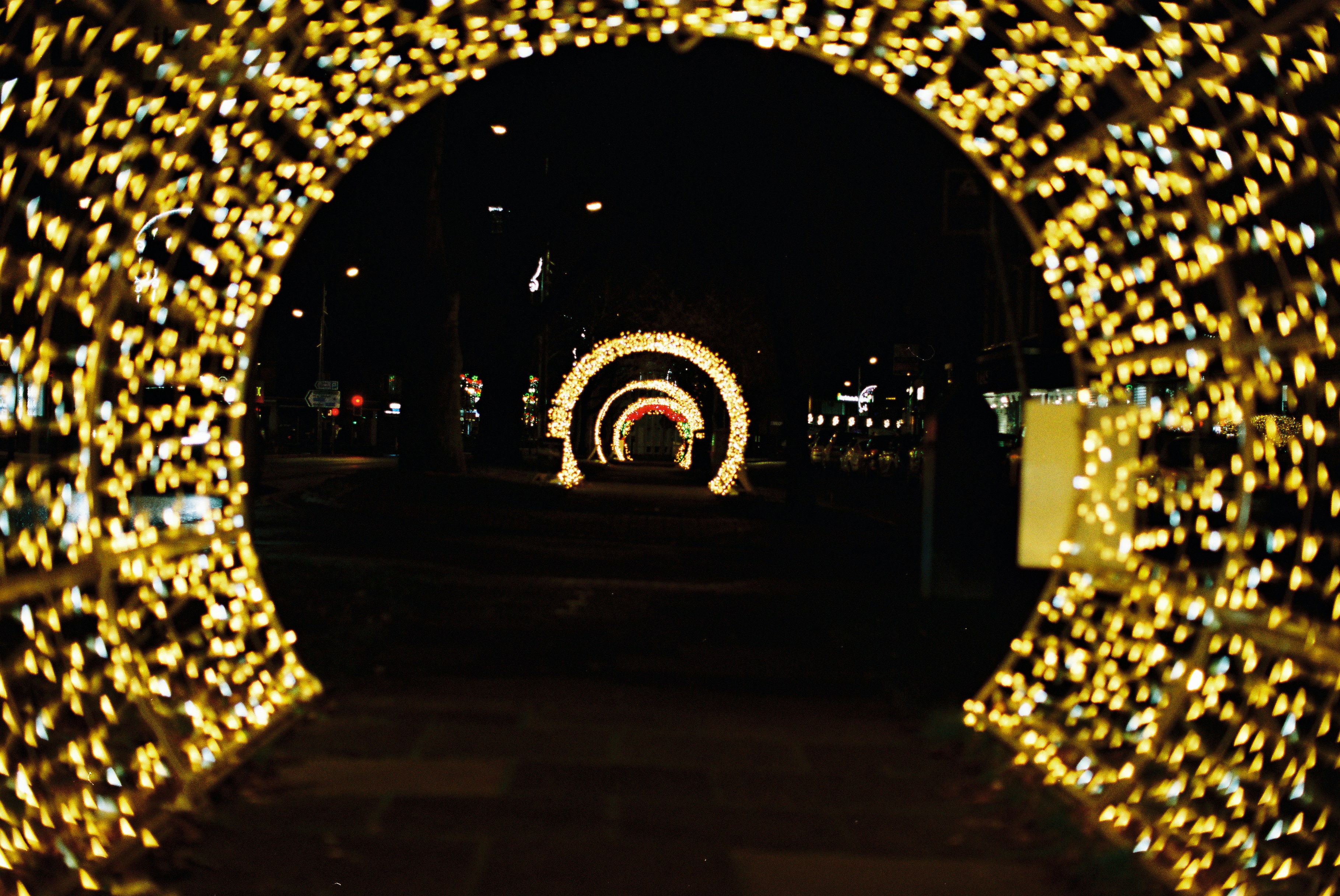 Photo by tanyabarrow