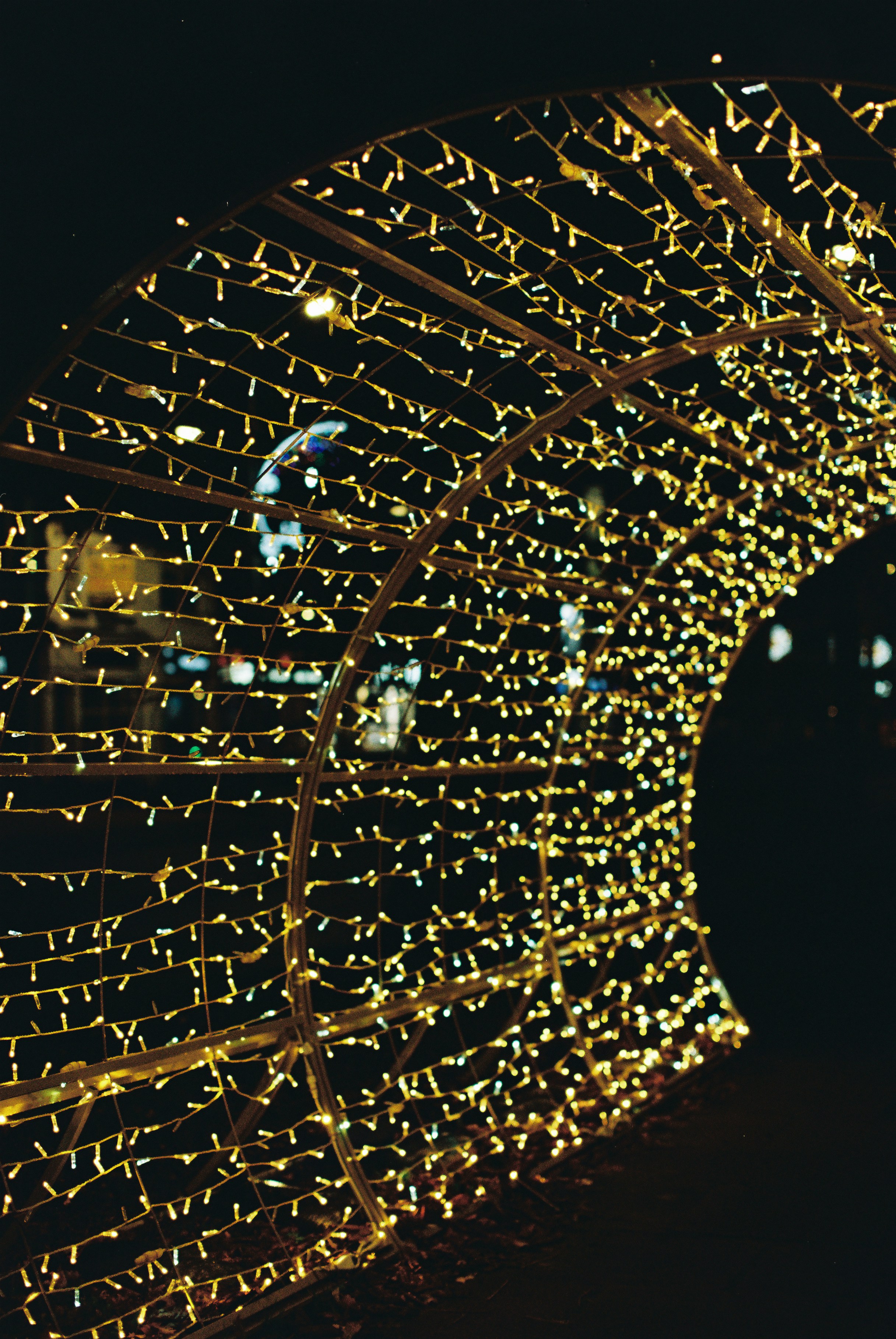 Photo by tanyabarrow