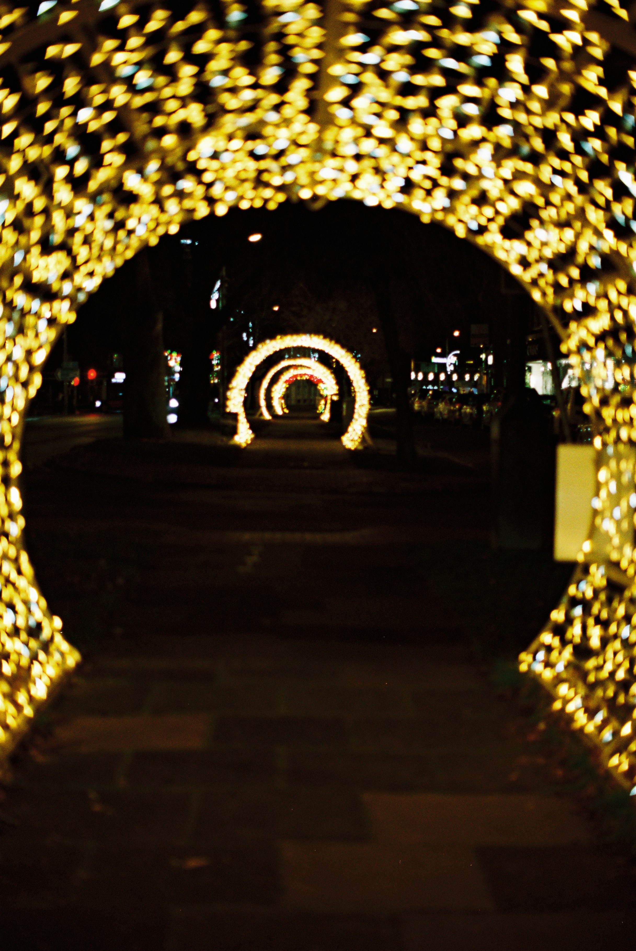 Photo by tanyabarrow