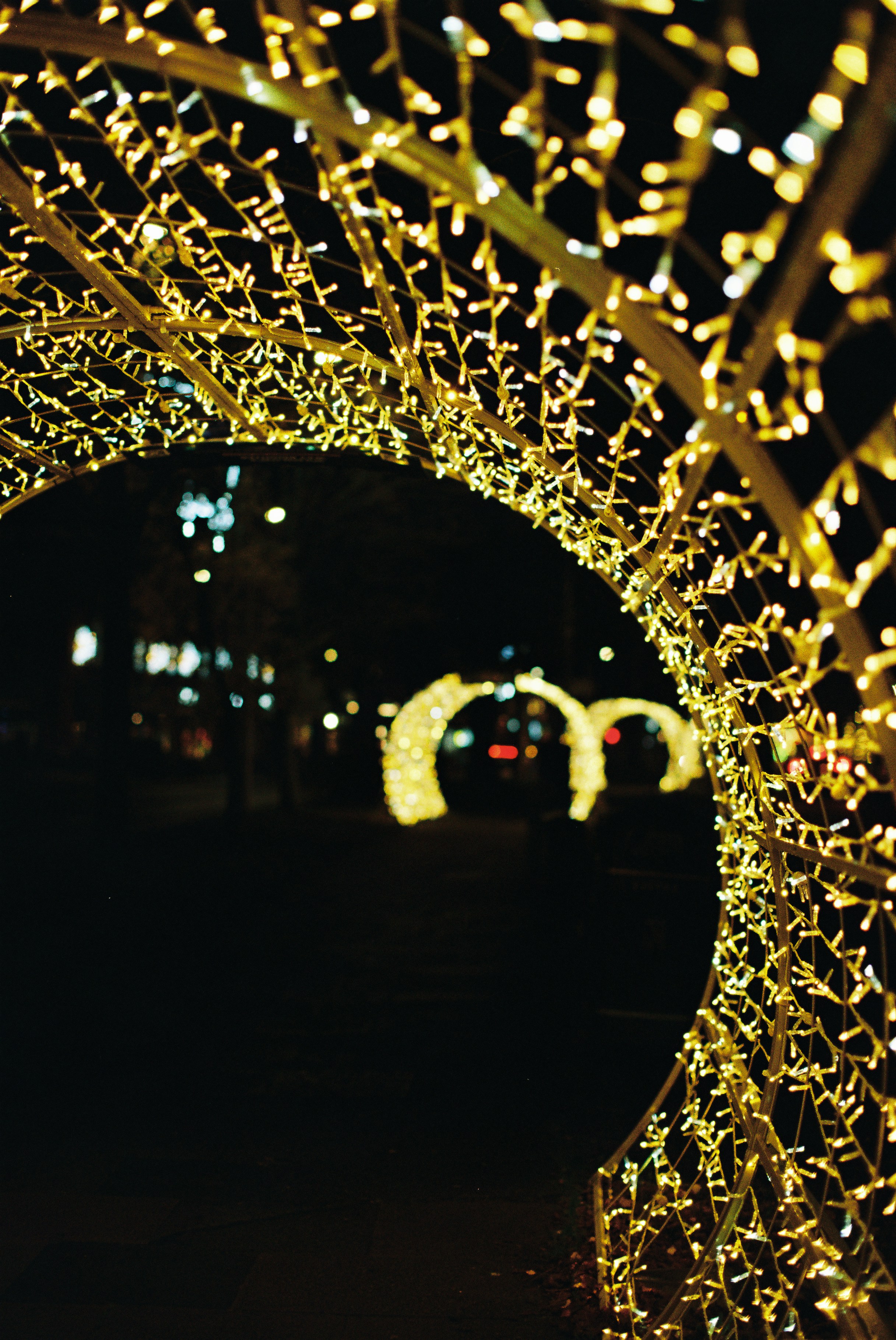 Photo by tanyabarrow